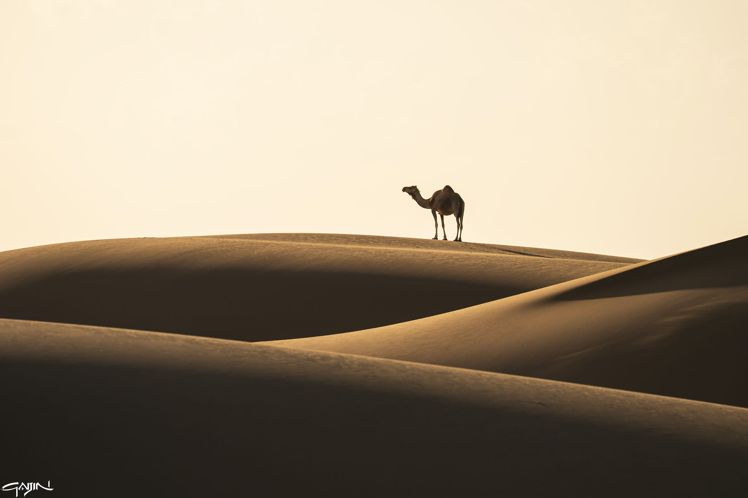 Southern Dunes - Red Sea