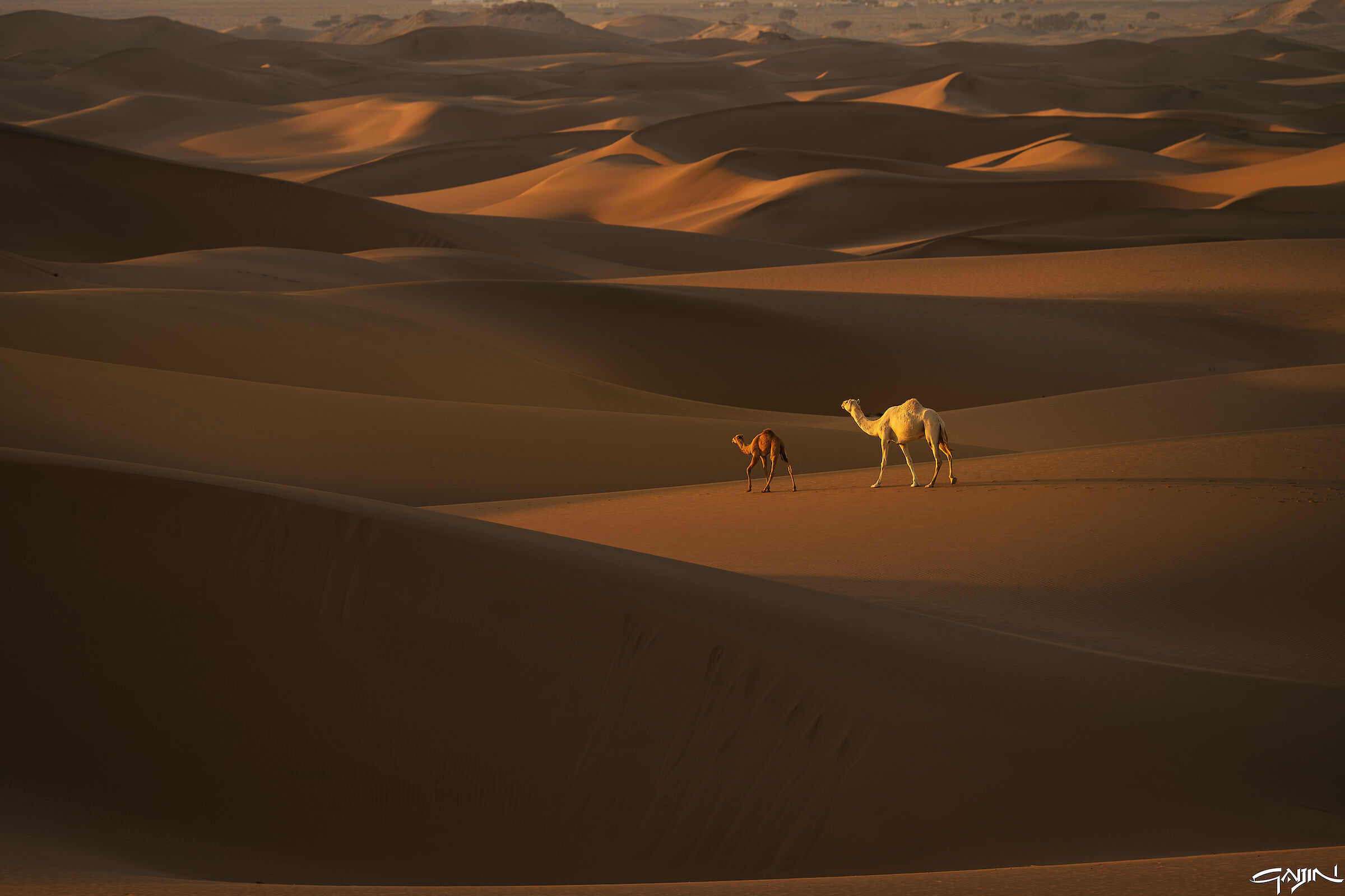 Southern Dunes - Red Sea