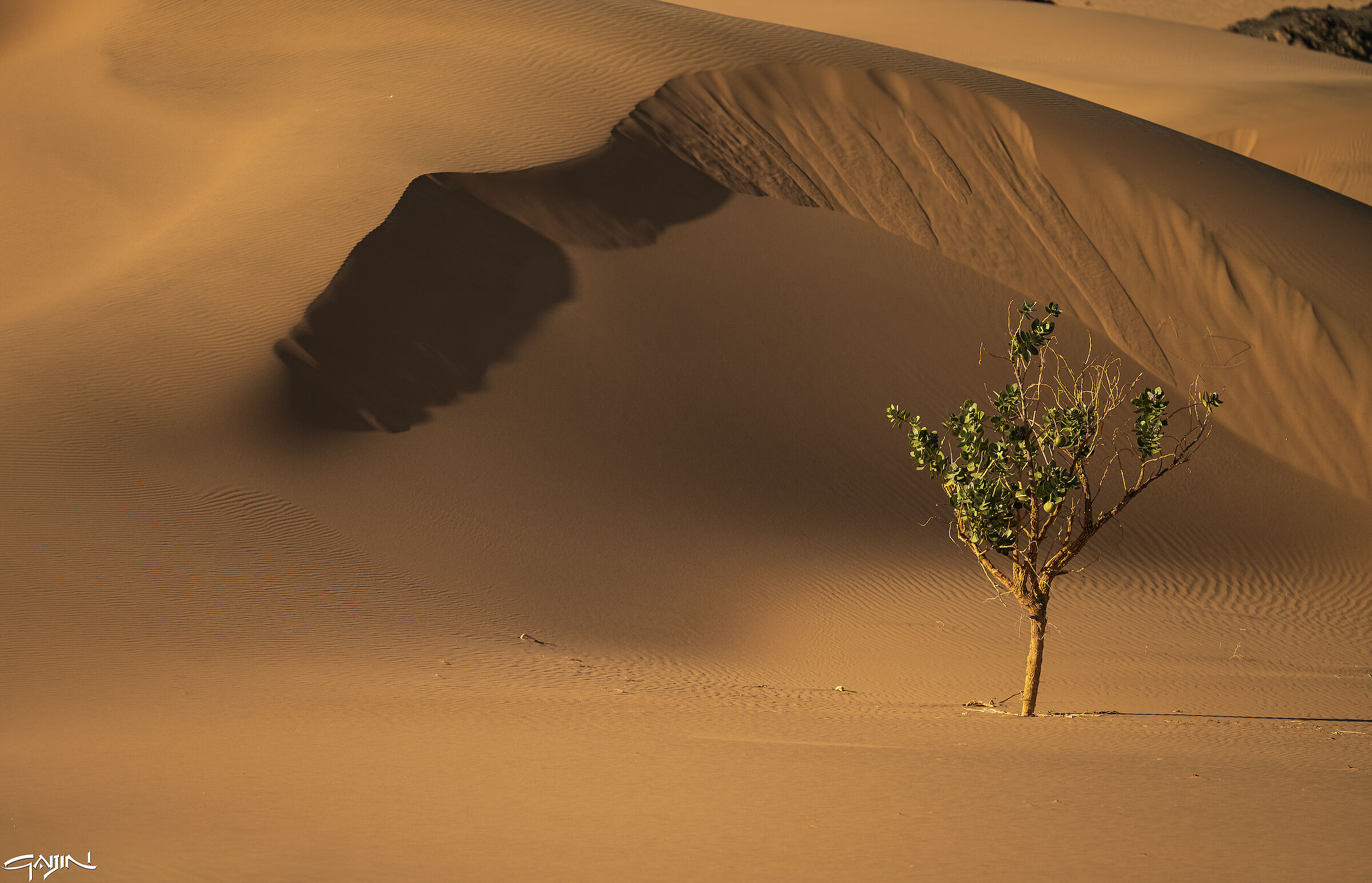 Southern Dunes - Red Sea