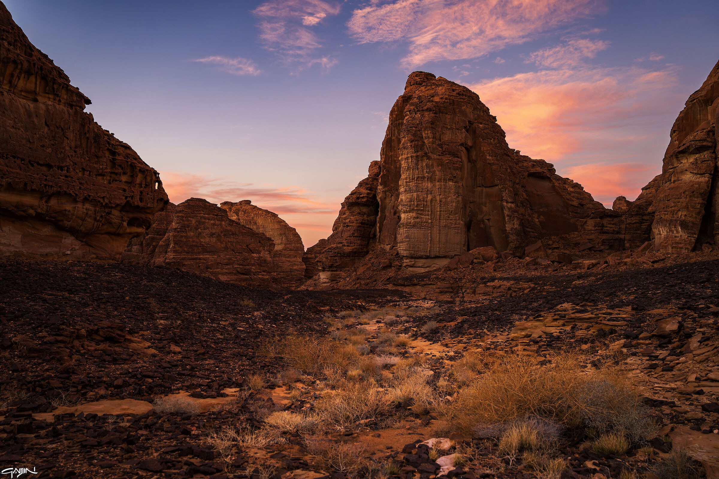 Shaden Wadi - Al Ula