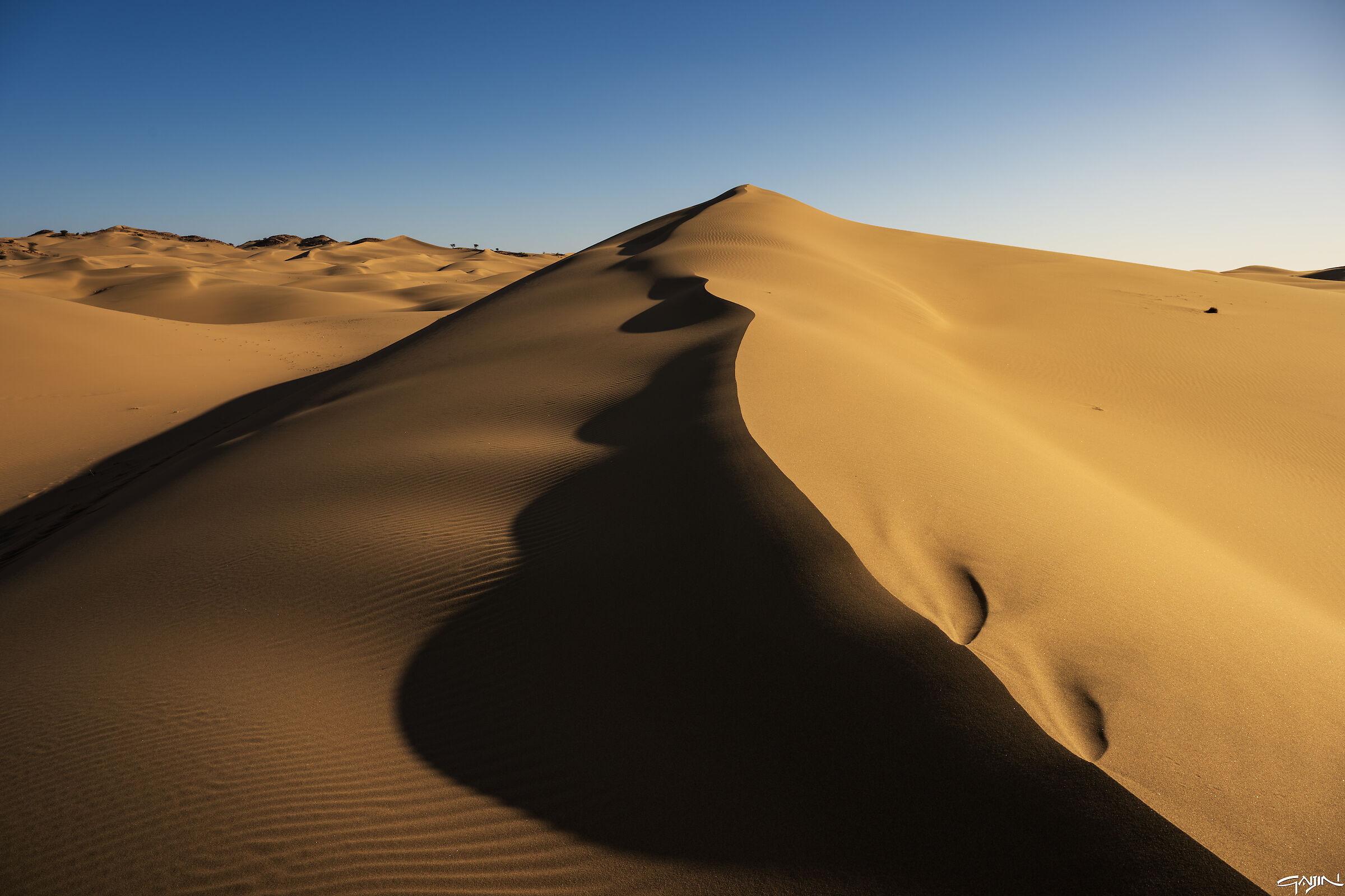 Southern Dunes - Red Sea