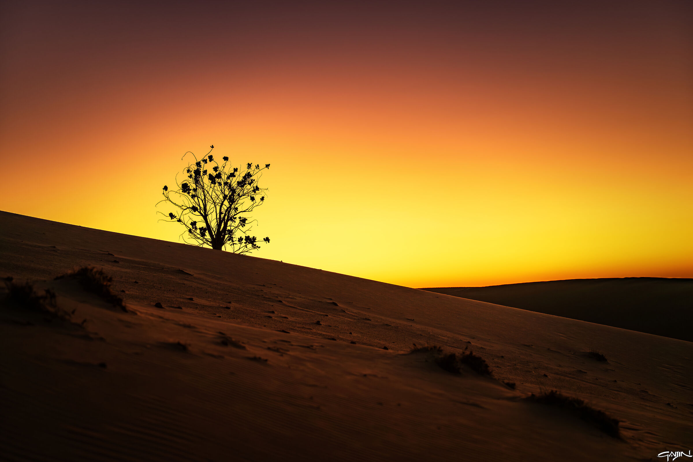 Southern Dunes Sunset - Red Sea