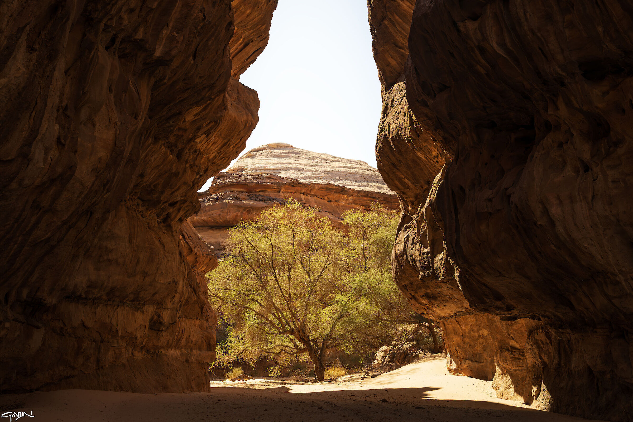 Sharaan Reserve - Al Ula