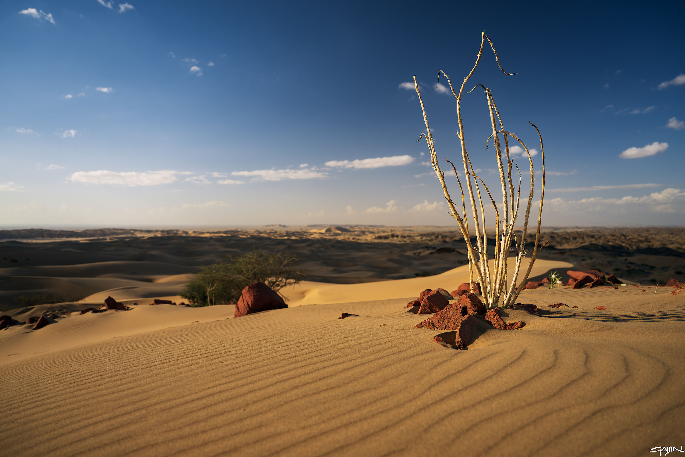 Southern Dunes - Red Sea