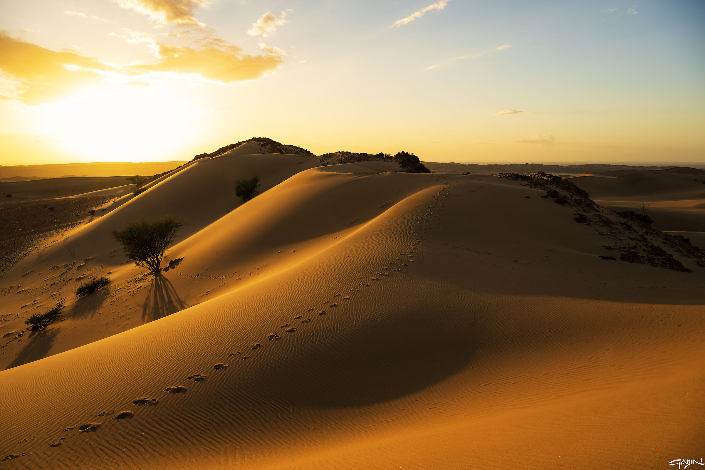 Southern Dunes - Red Sea