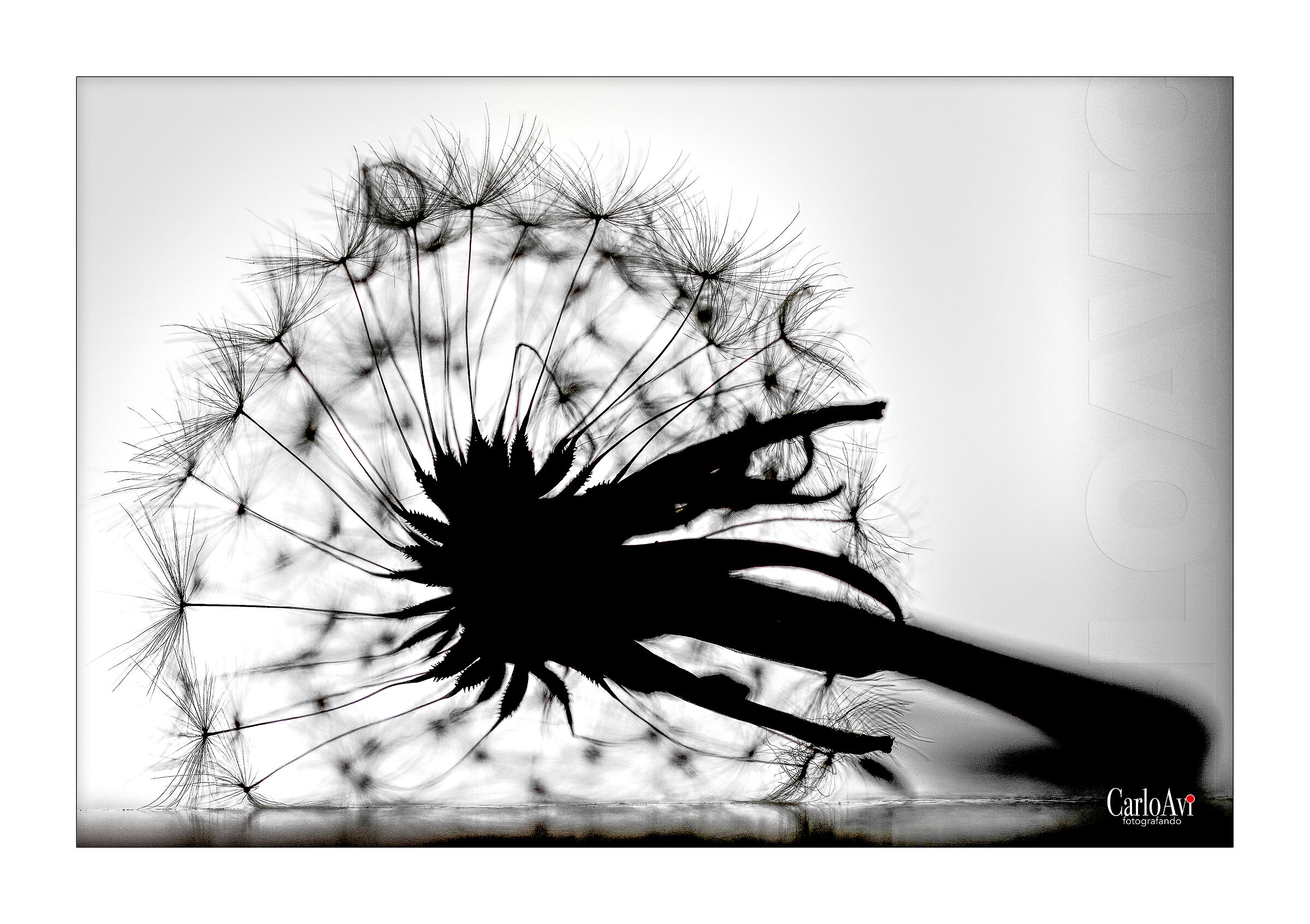 un desiderio per sognare ...un soffio