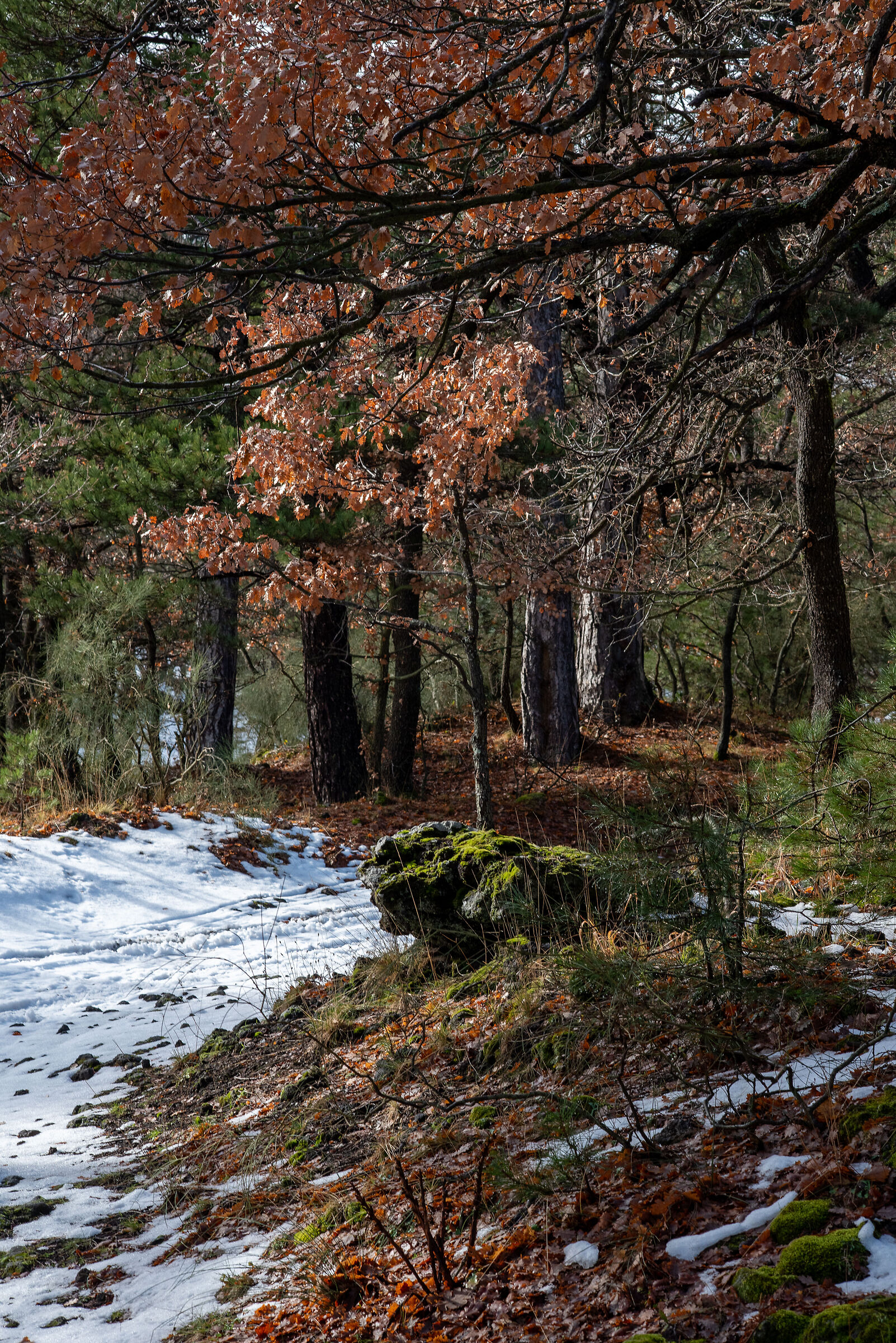 Autumn residues