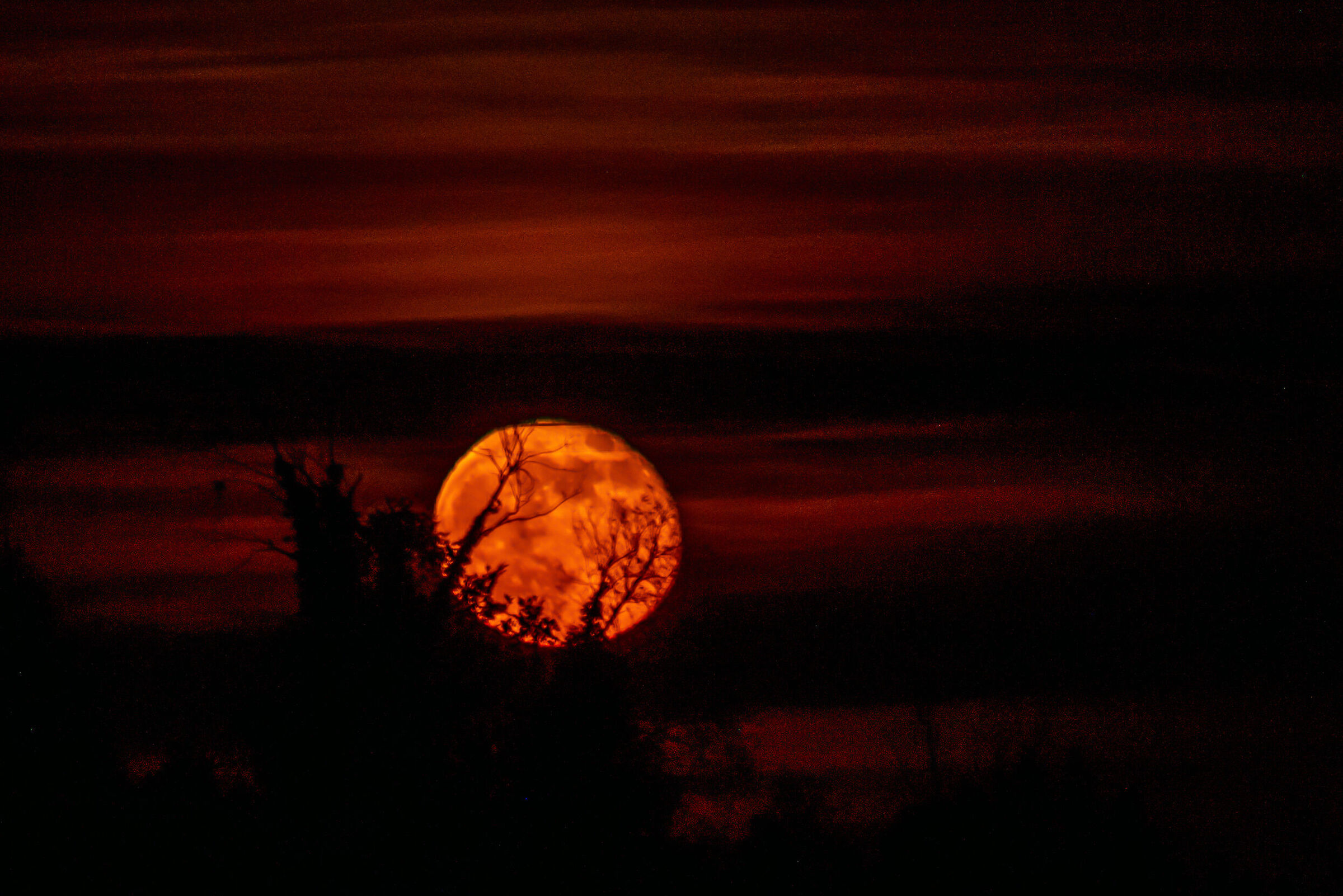 Moon