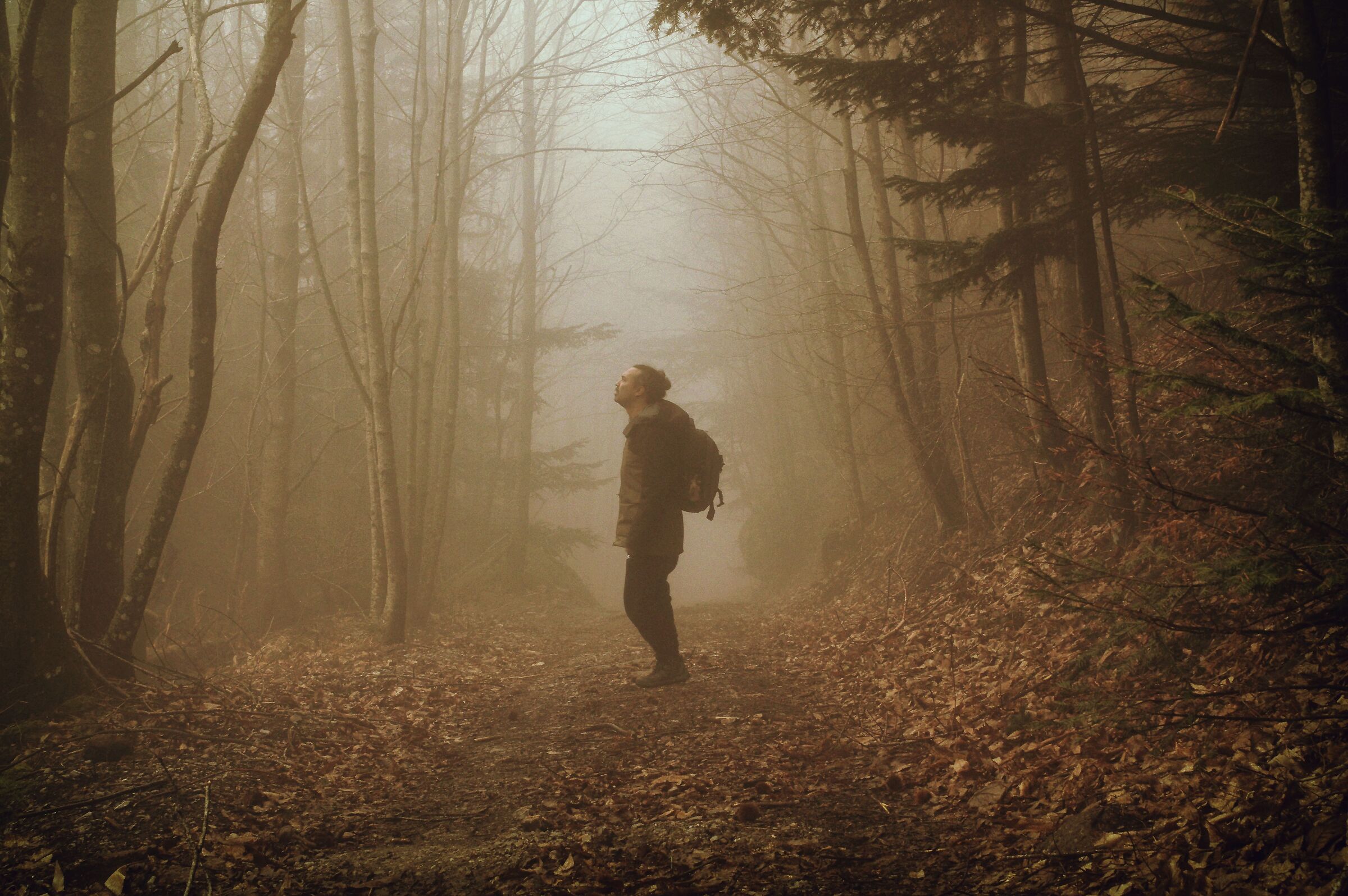 In cammino da 10 anni