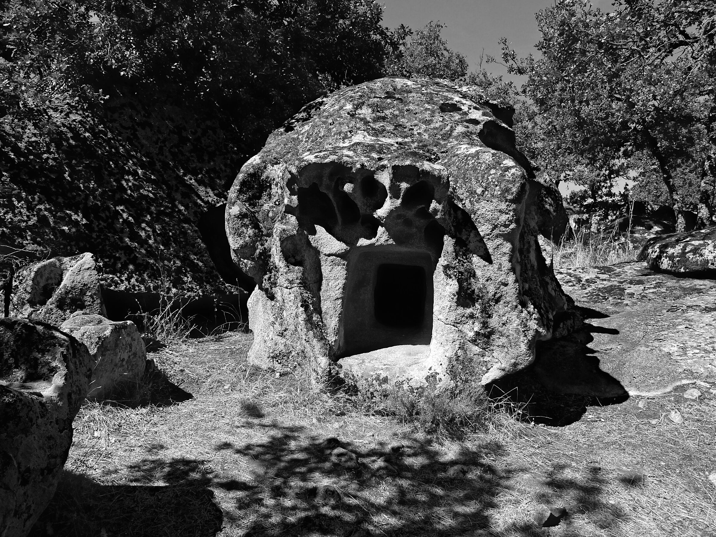 Domus de janas