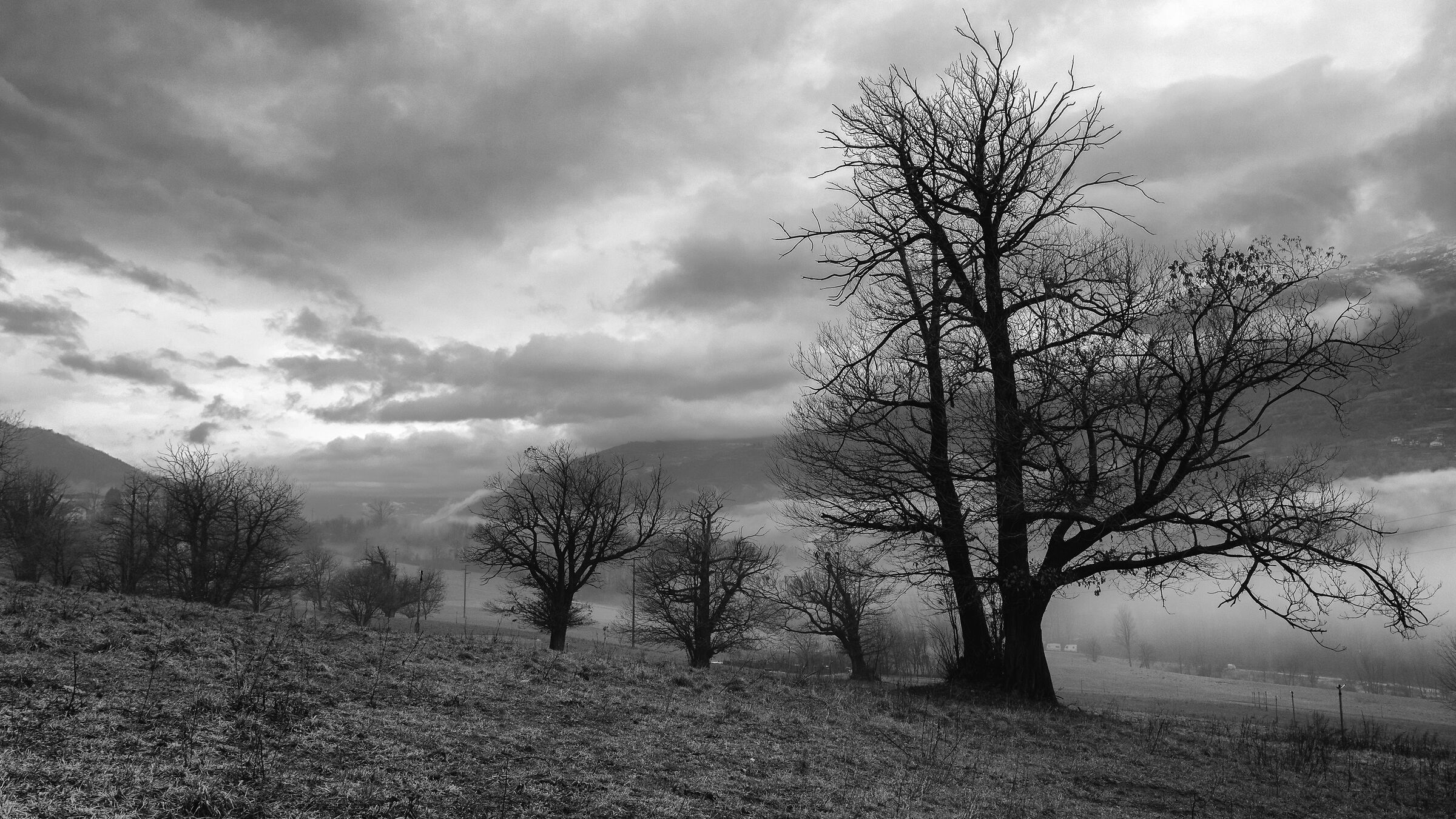 Il mattino in valle ..
