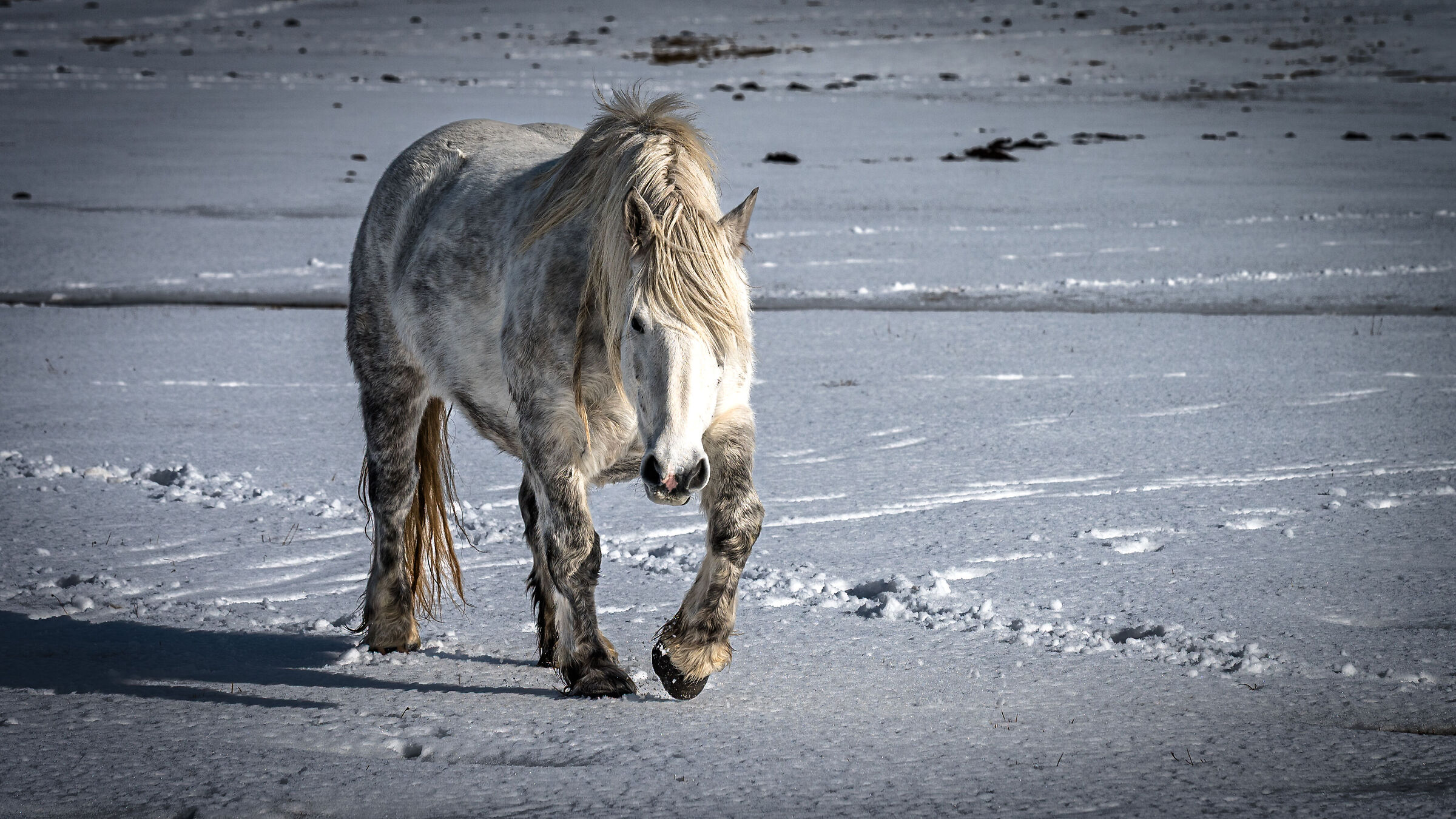 Walk in Castelluccio