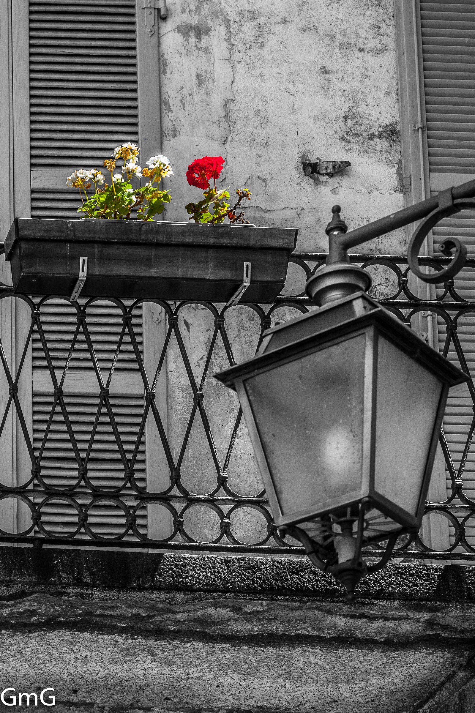 The lamp and the geraniums