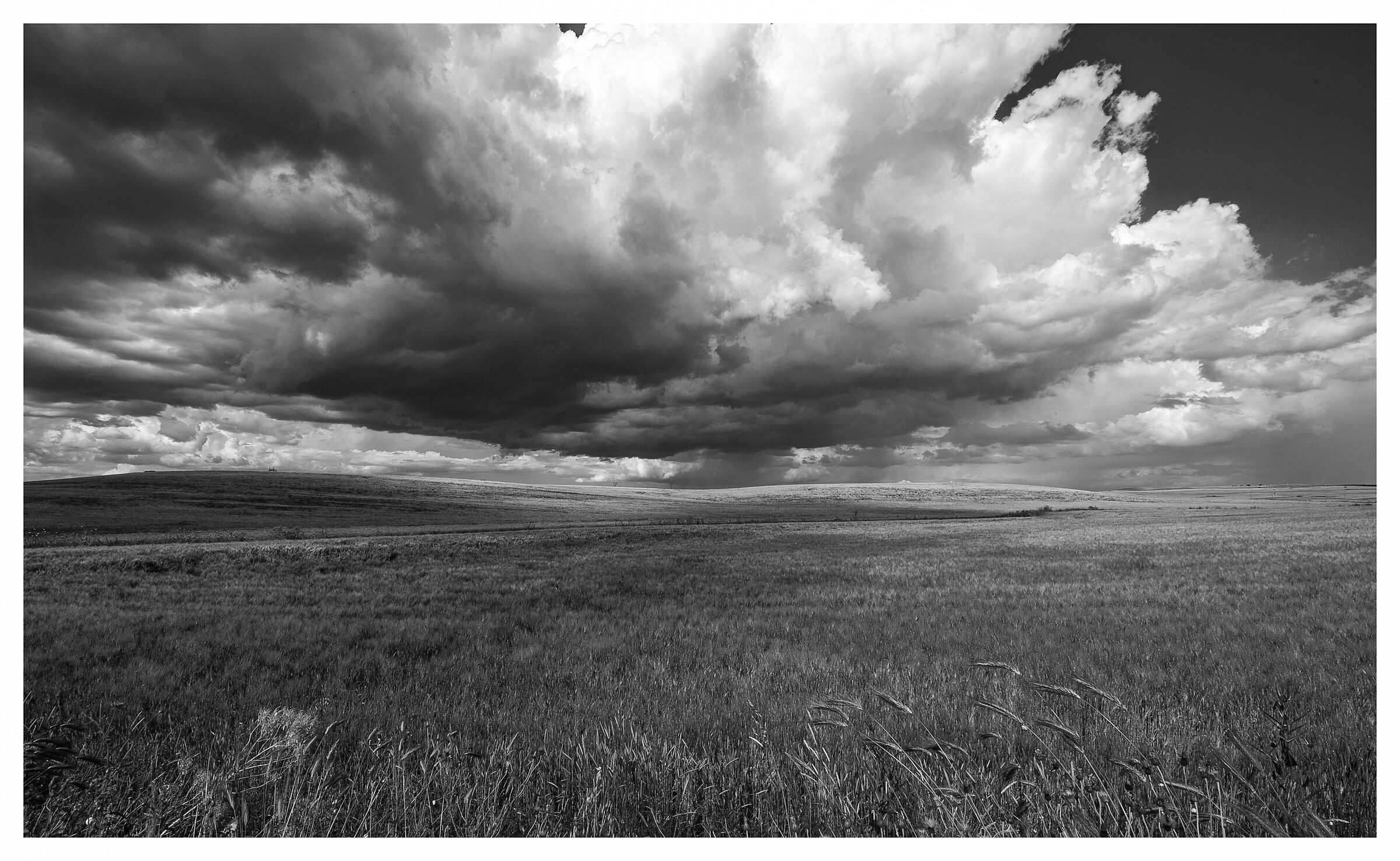 Apulia-The Murgia plateau, the granary of Italy.