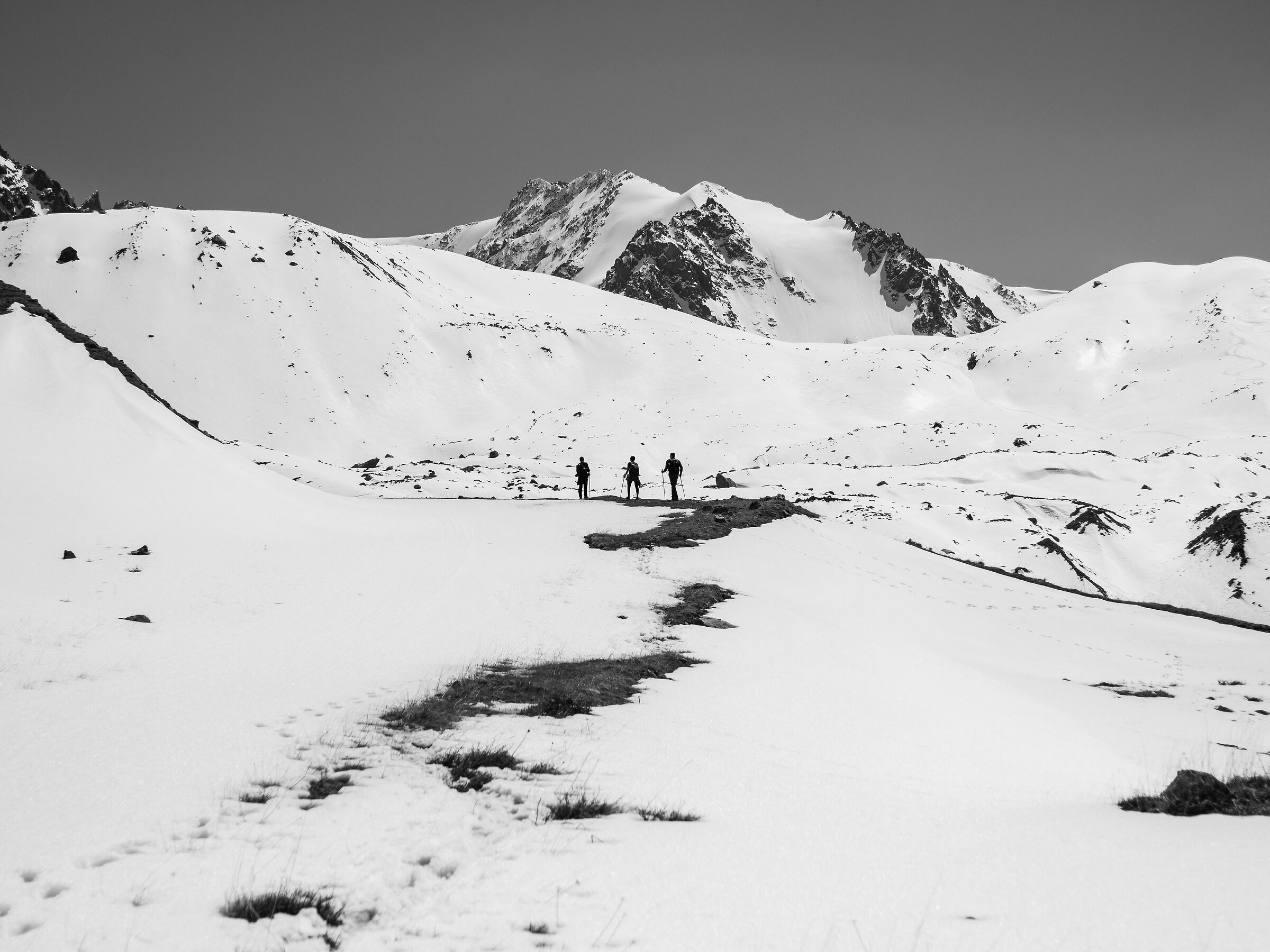 Three owls on the dresser