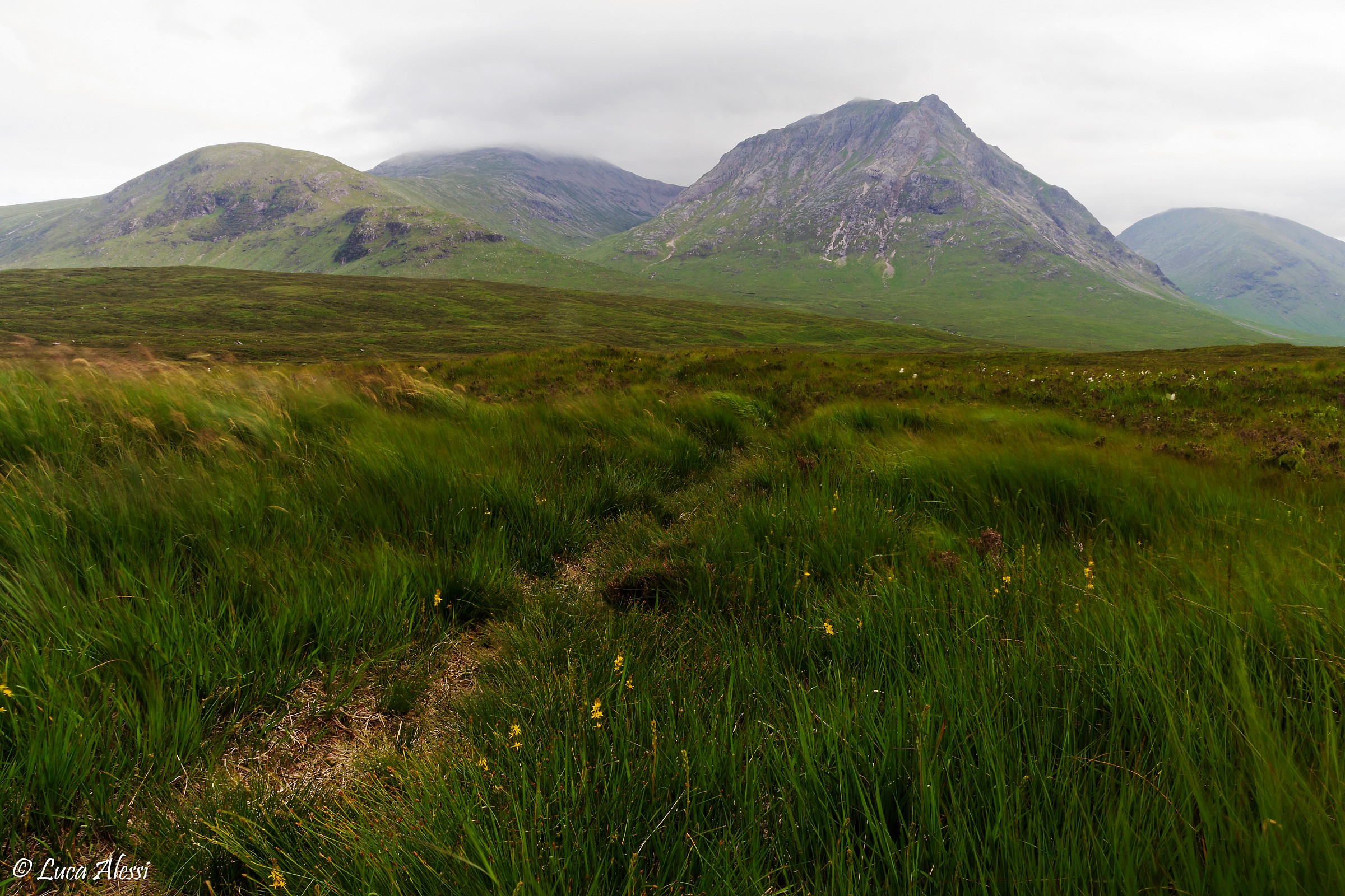Rannoch Moor