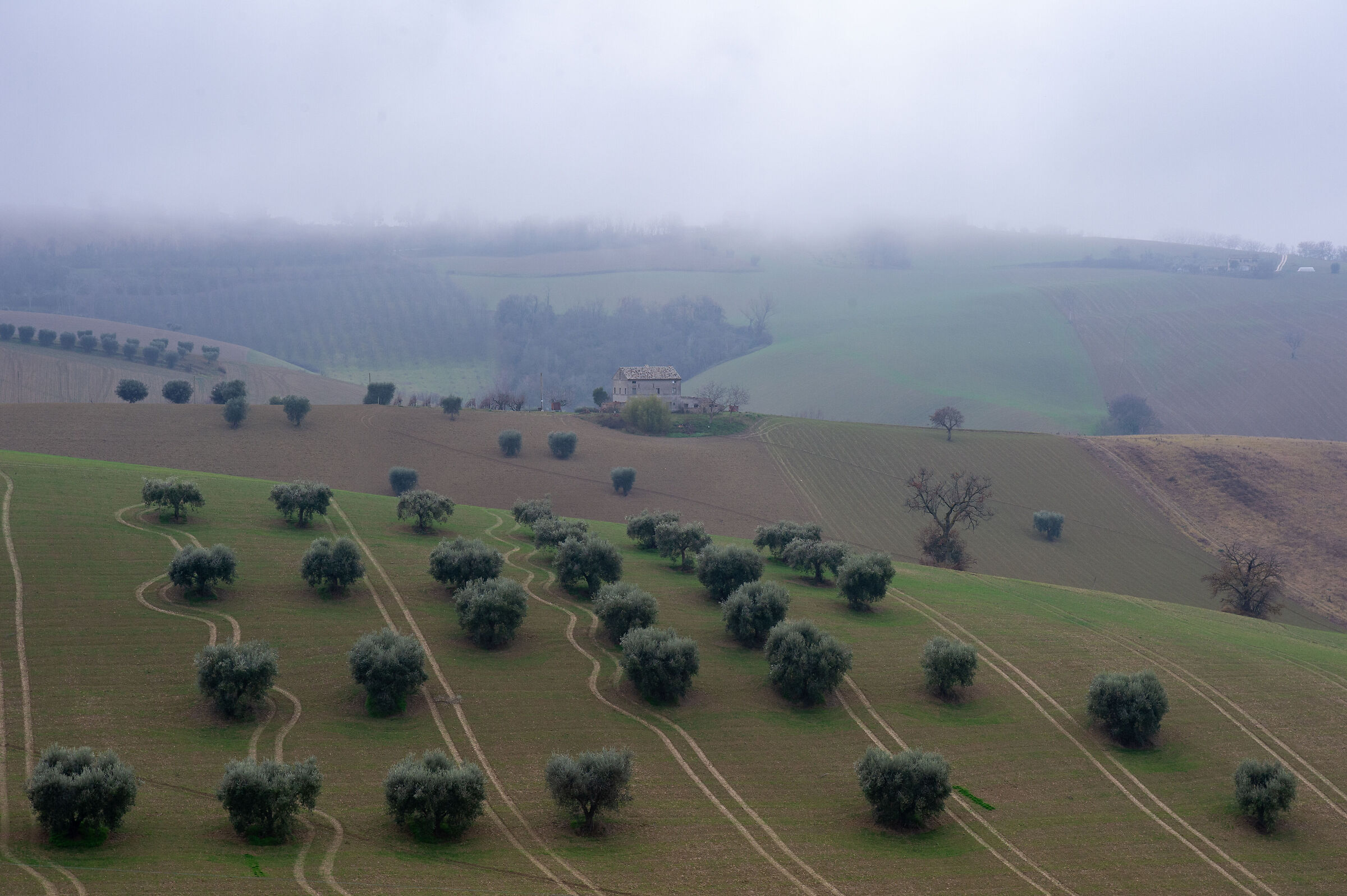 Campagna marchigiana in una giornata uggiosa