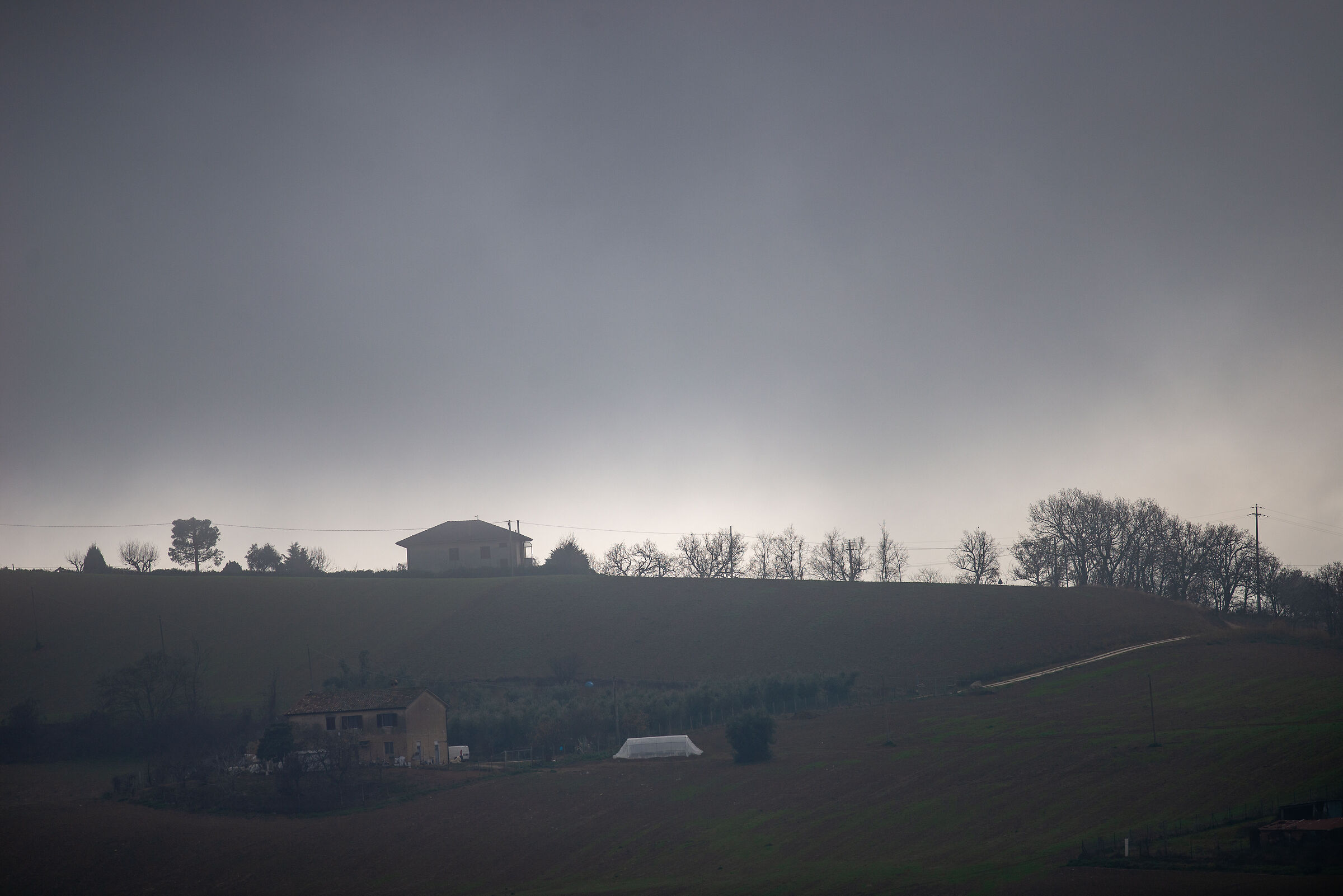 Campagna marchigiana in una giornata uggiosa