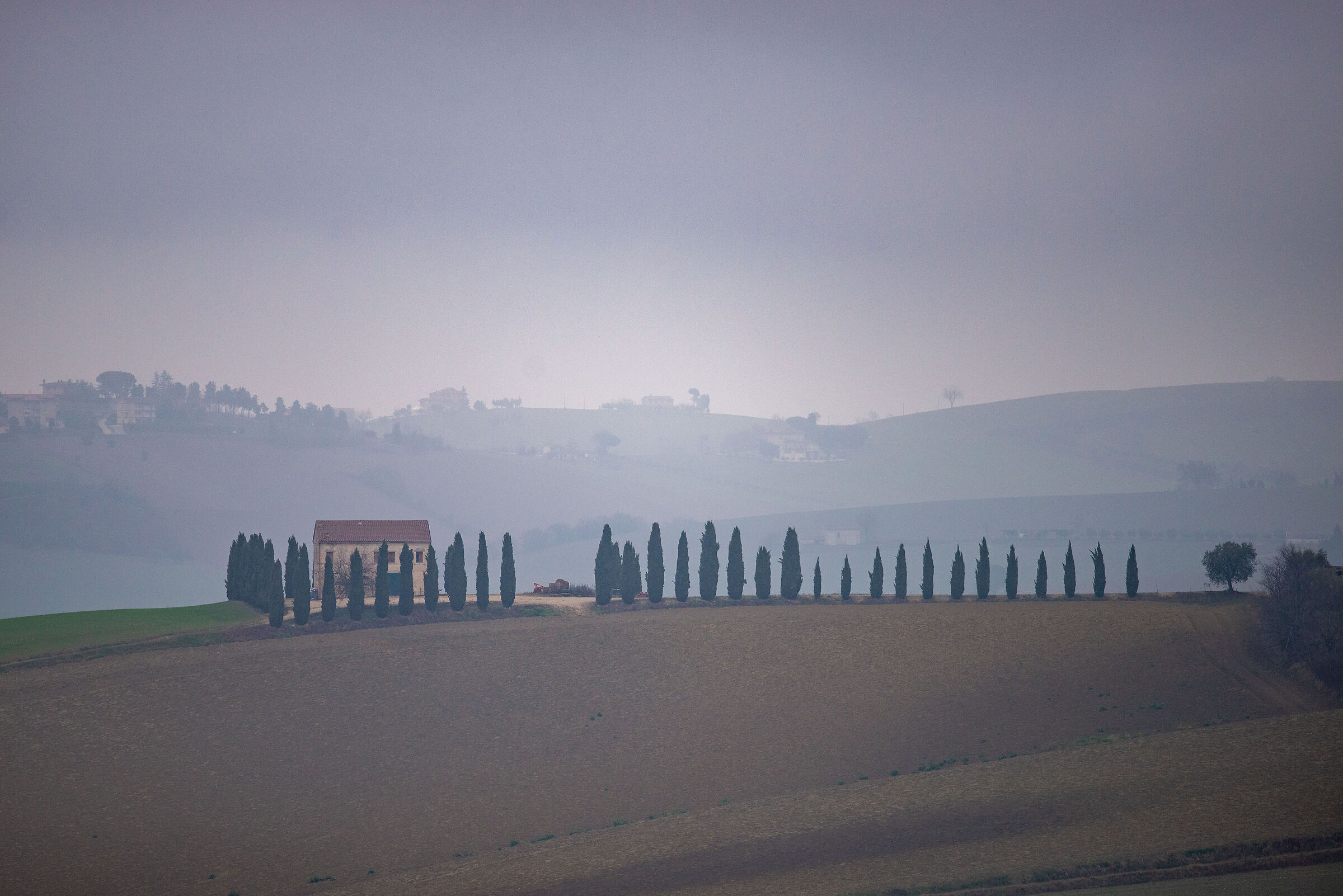 Campagna marchigiana in una giornata uggiosa