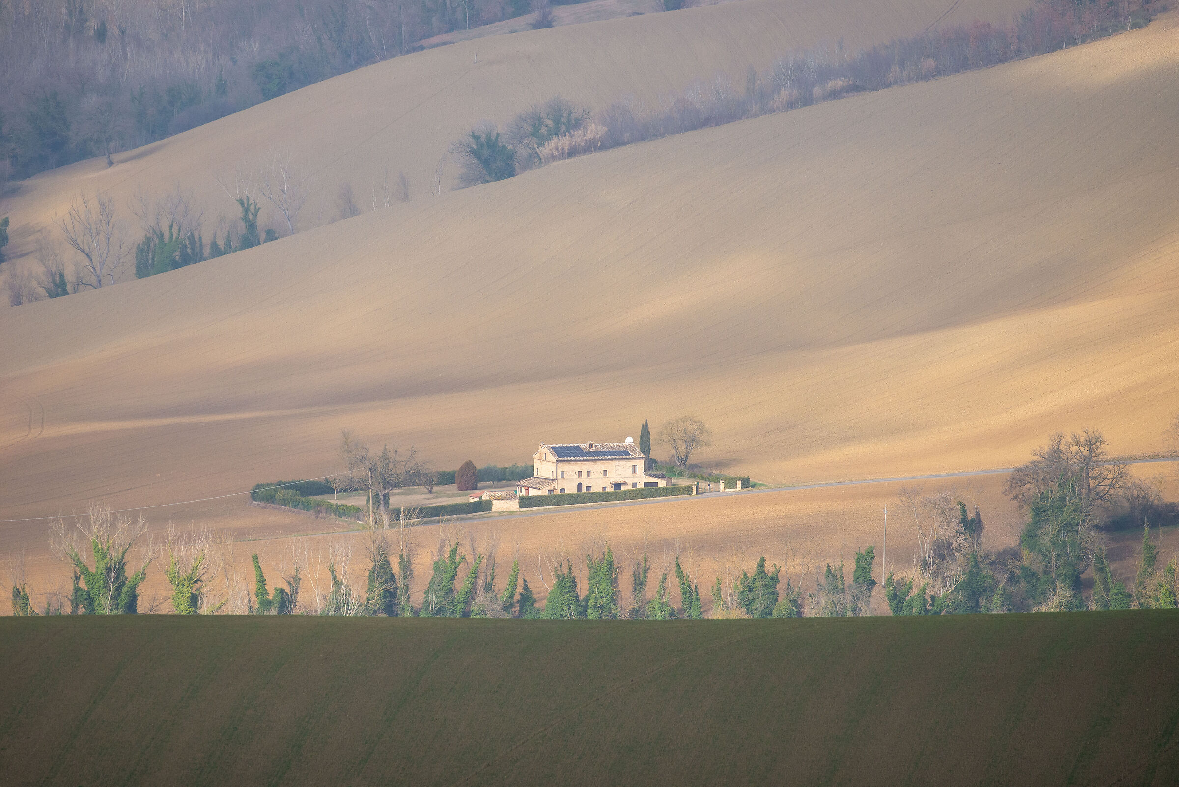 Campagna marchigiana