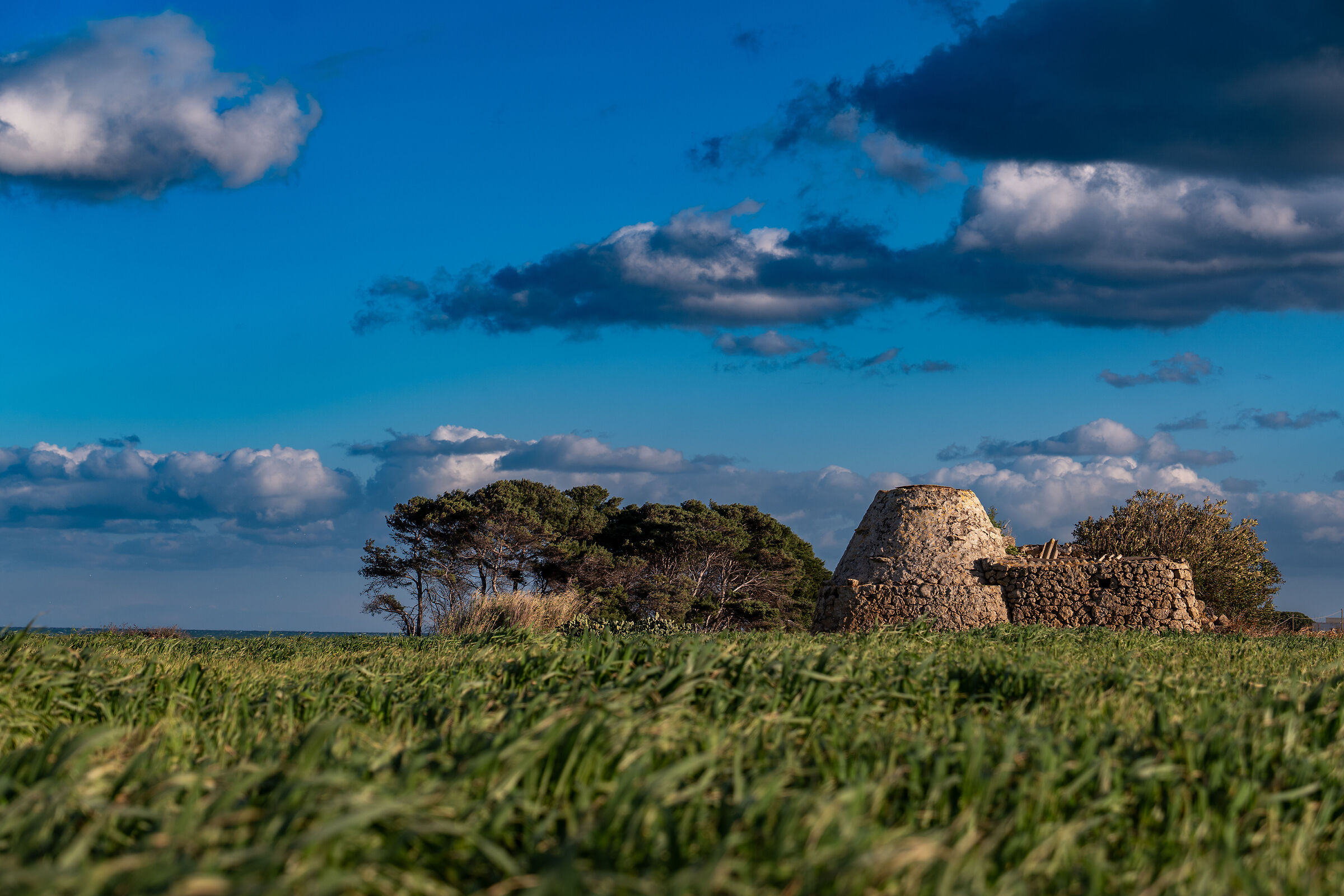I trulli di Costa Ripagnola 2