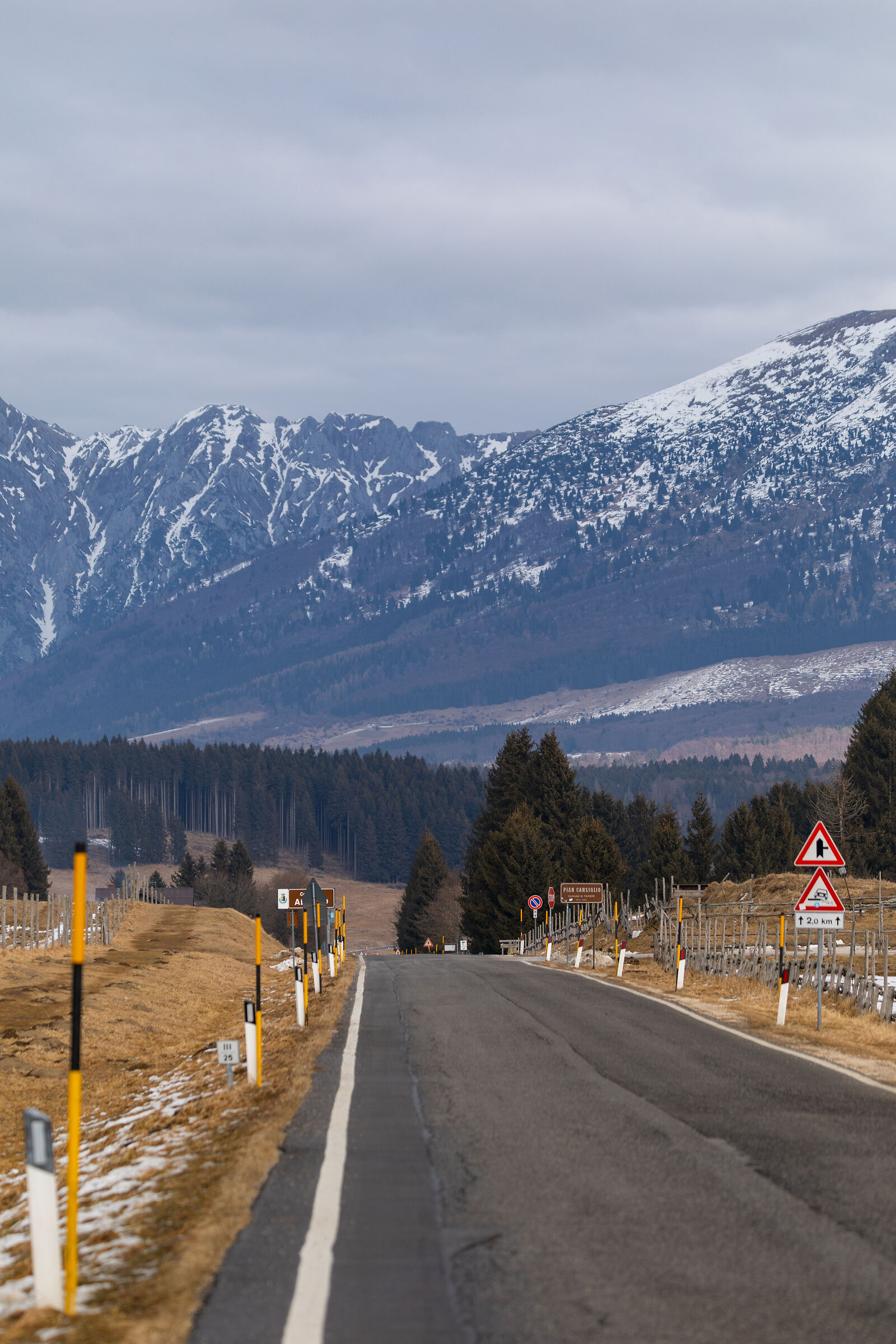 The quiet of the Cansiglio plain