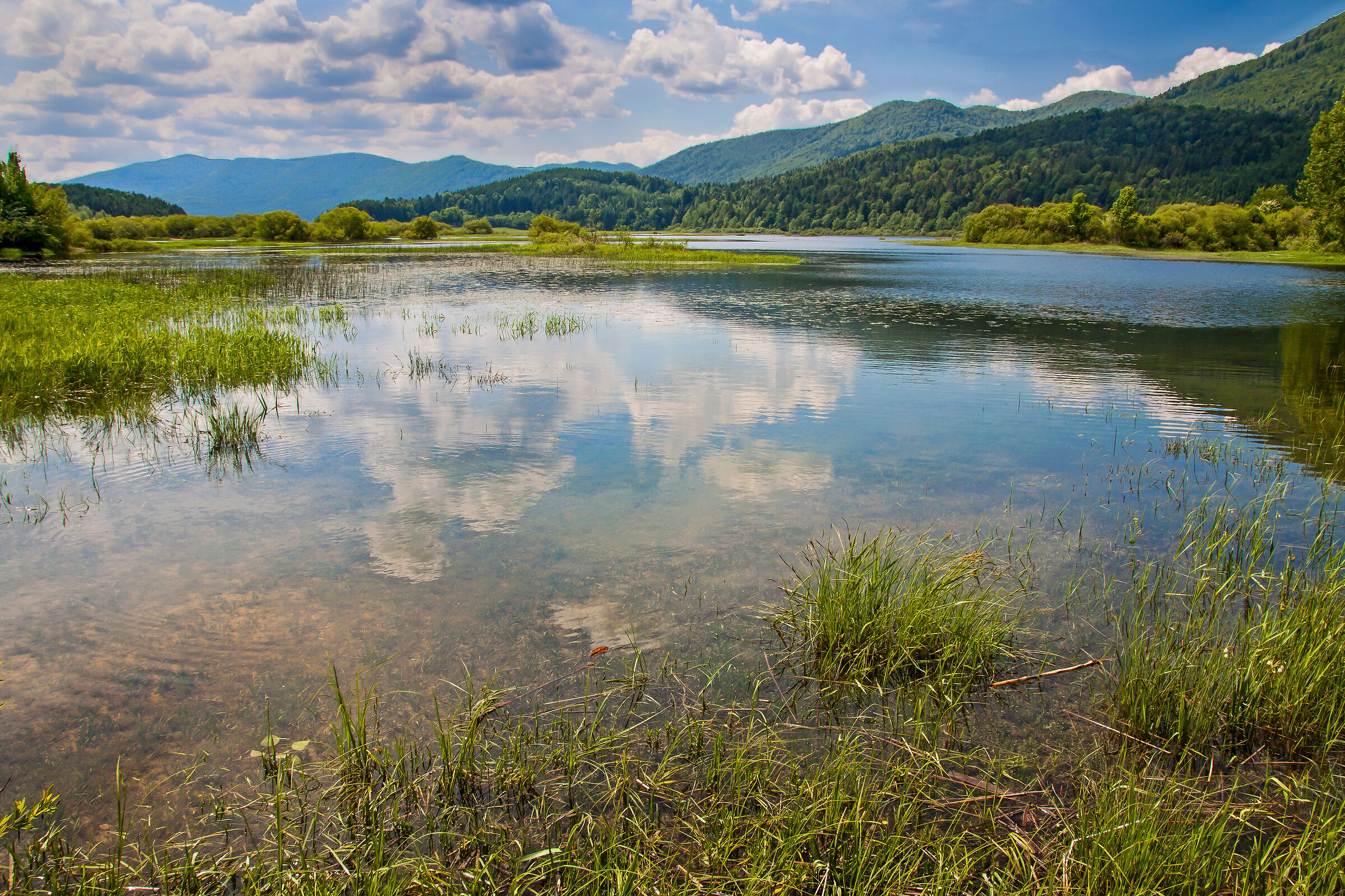 Piana del Lago di Circonio, Slovenia