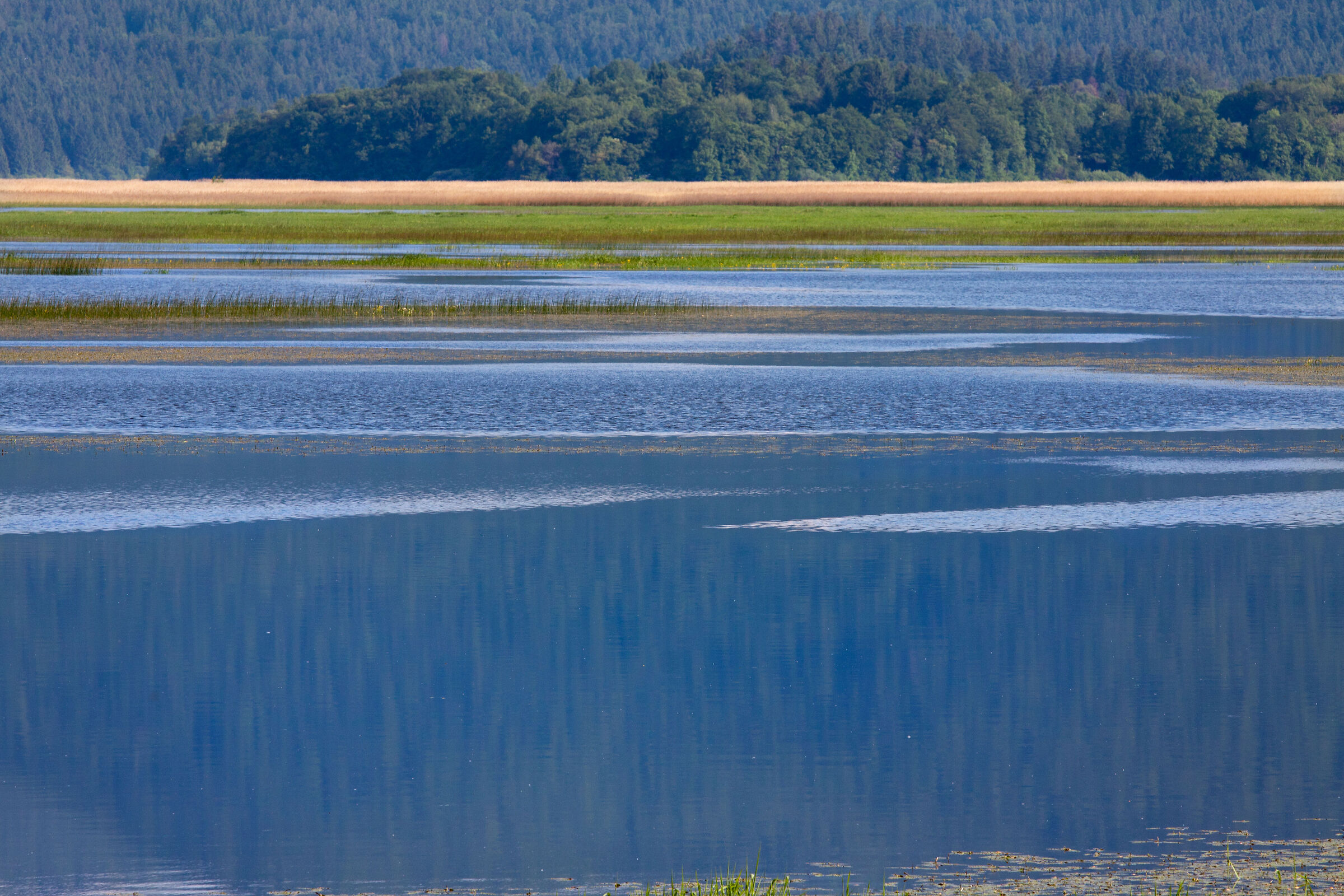 Piana del Lago di Circonio, Slovenia