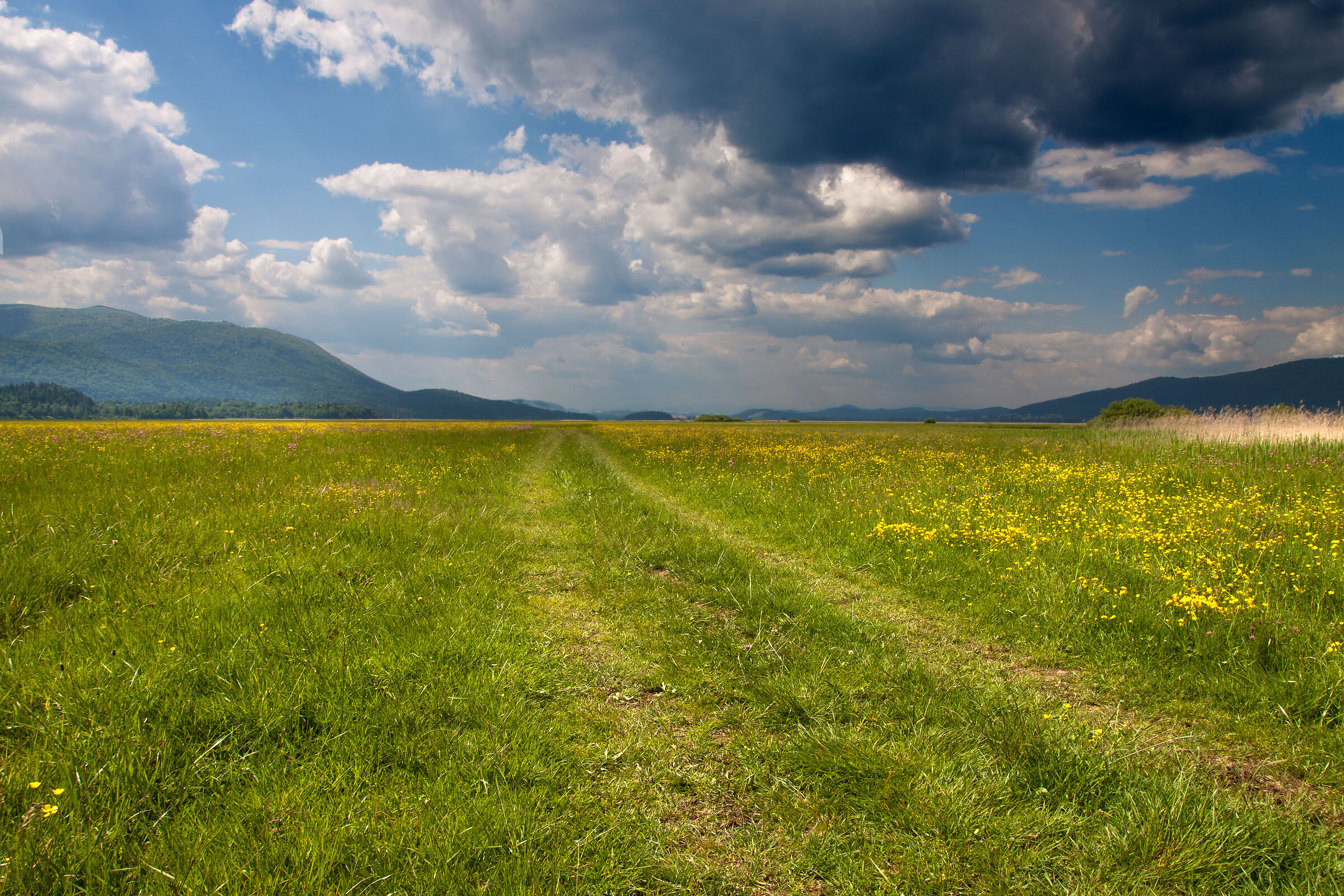 Piana del Lago di Circonio, Slovenia