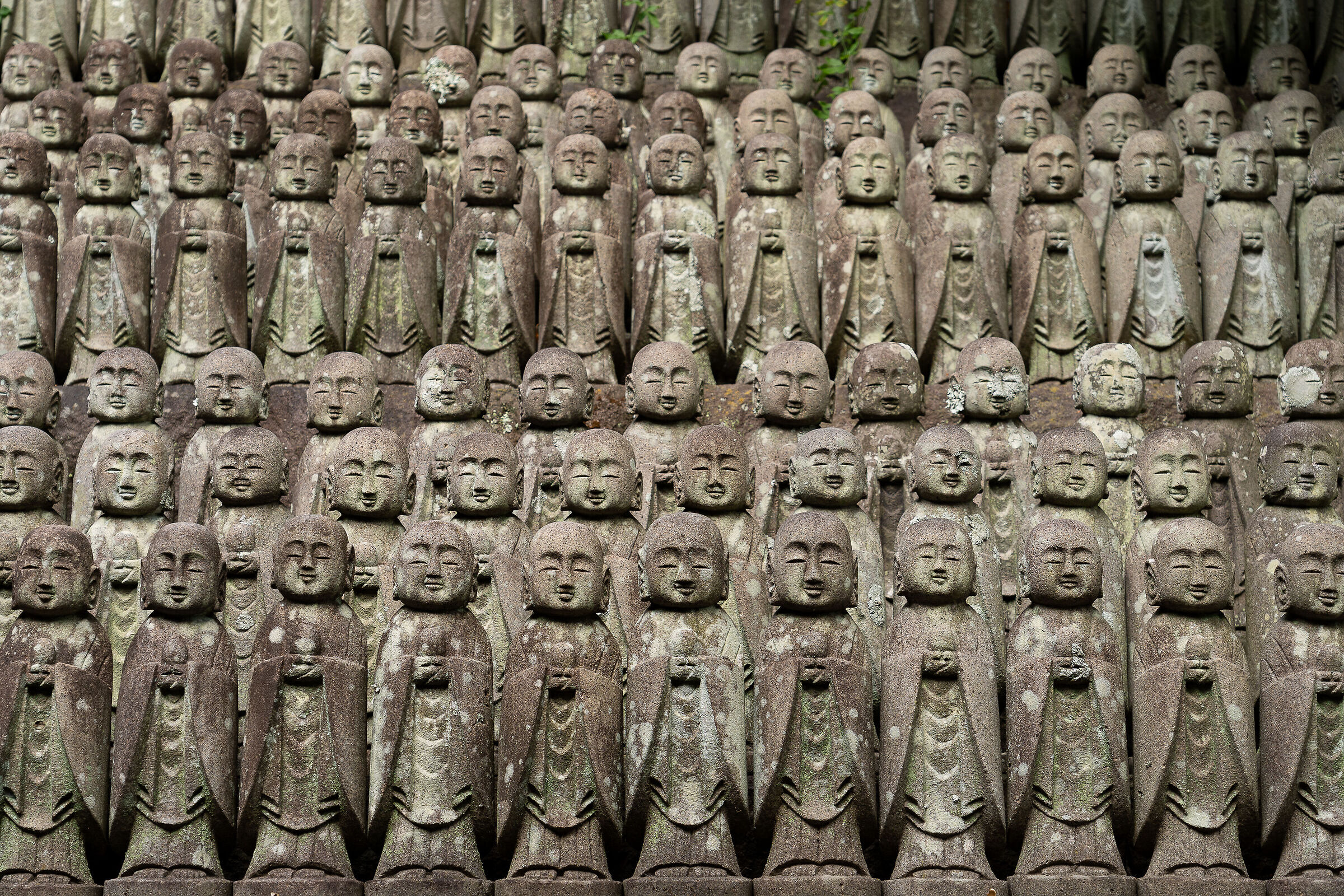 Un piccolo pacifico esercito