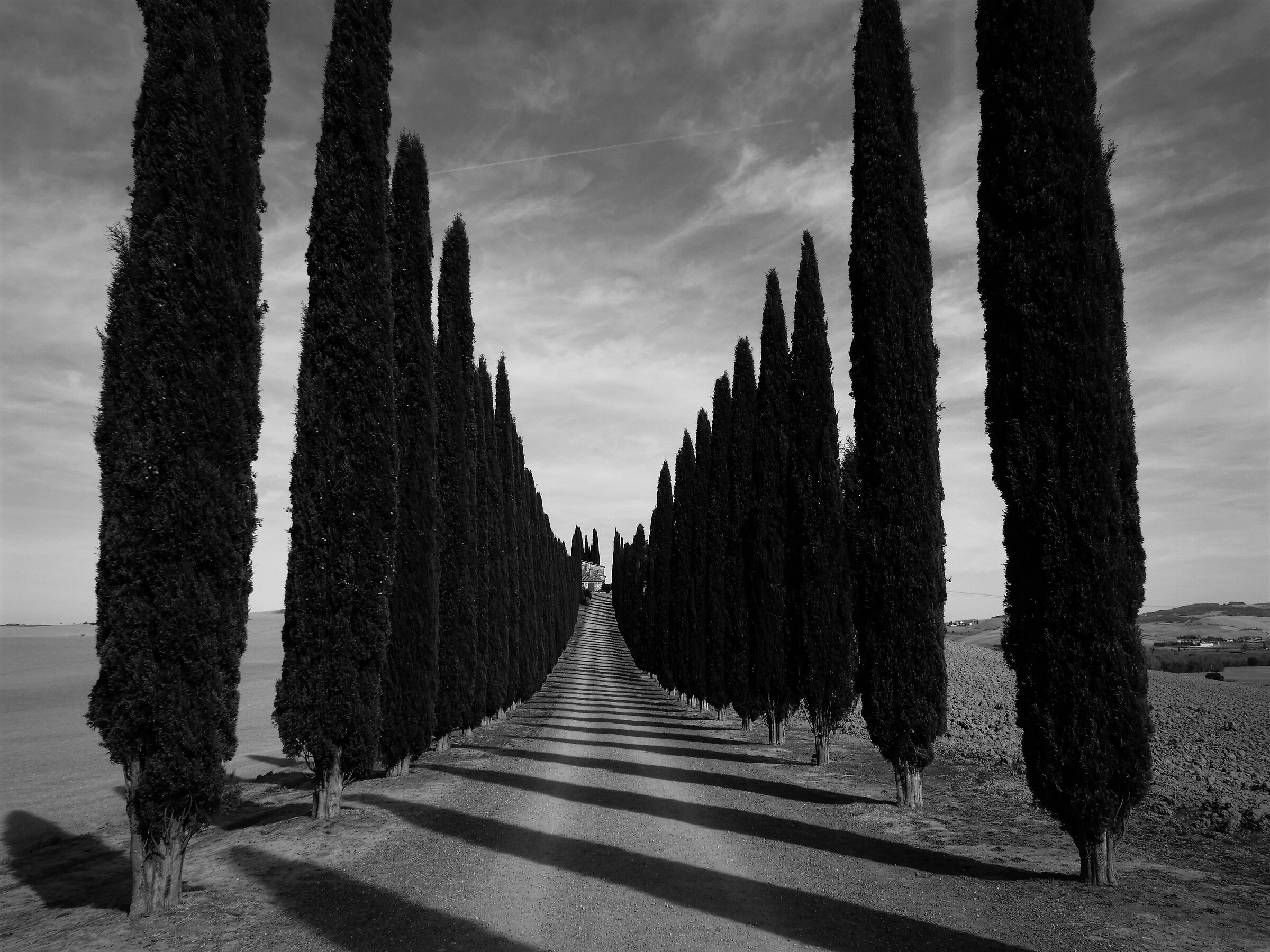 Shadows towards the hillock