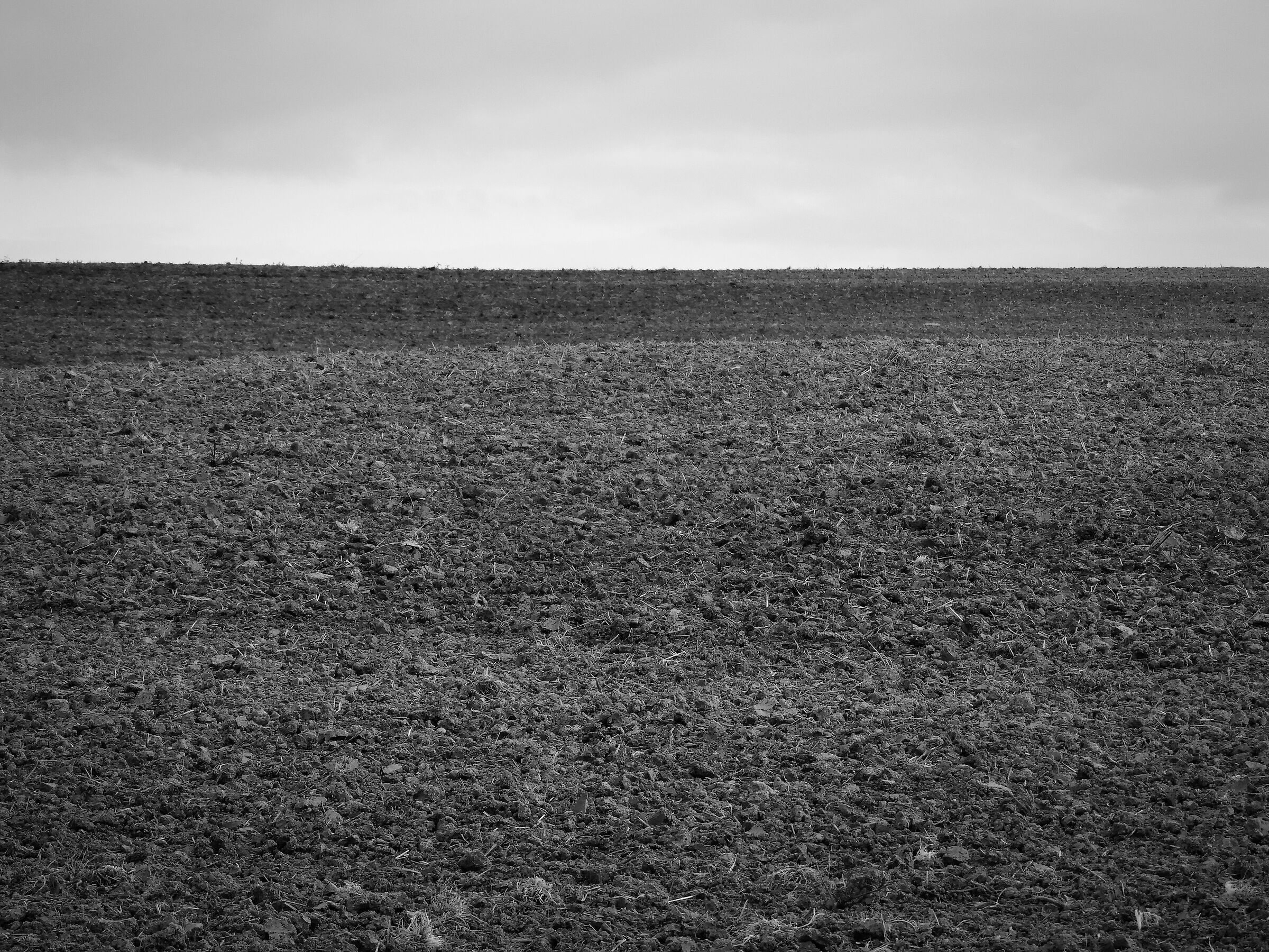 The bare earth