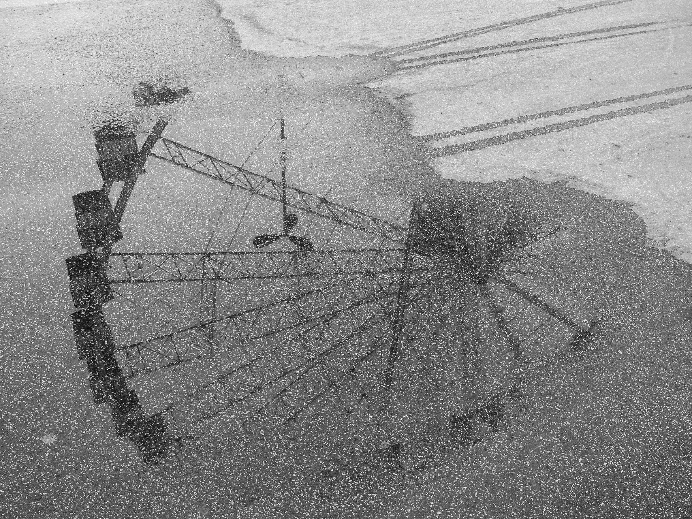 Mondi paralleli in una pozza d'acqua