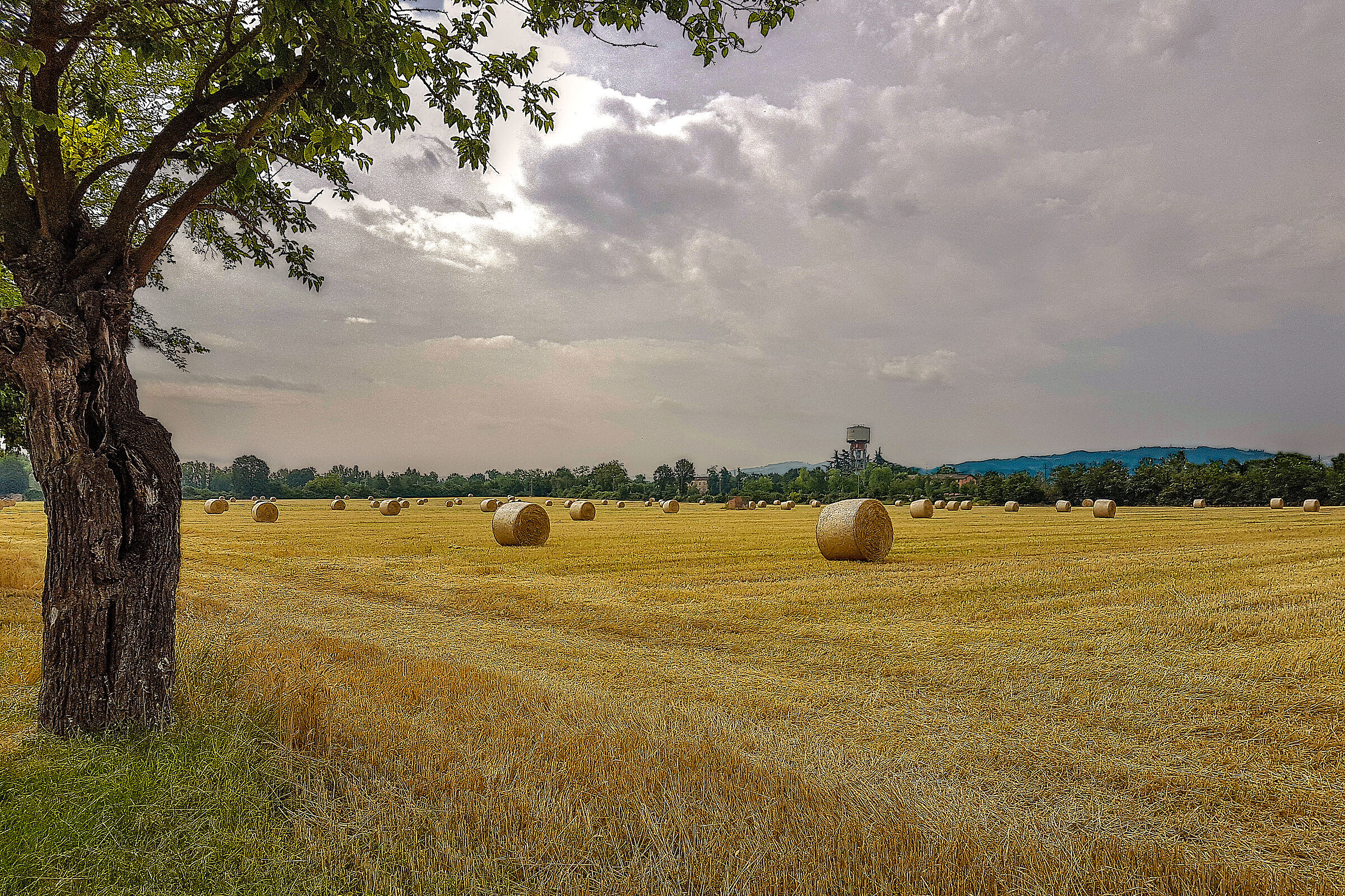 Fields with hay bales