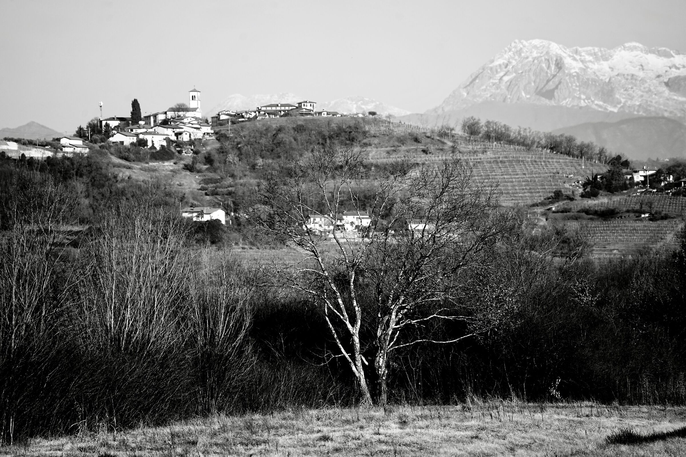 ... la piana del Preval, ai piedi del Collio...