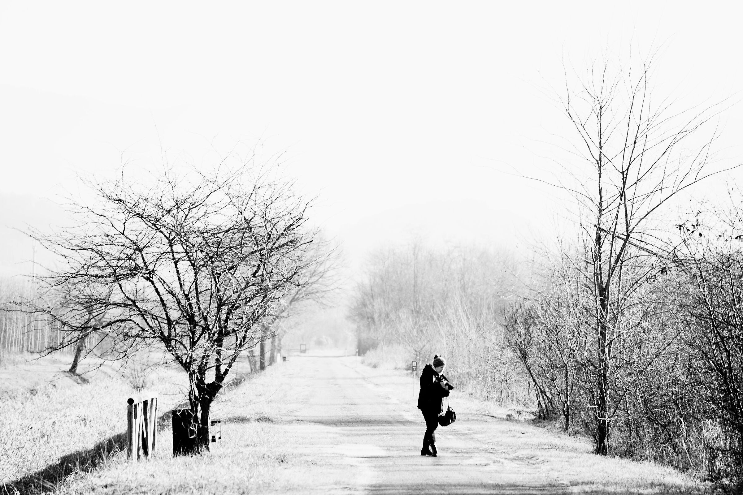 Gelida passeggiata nel Preval