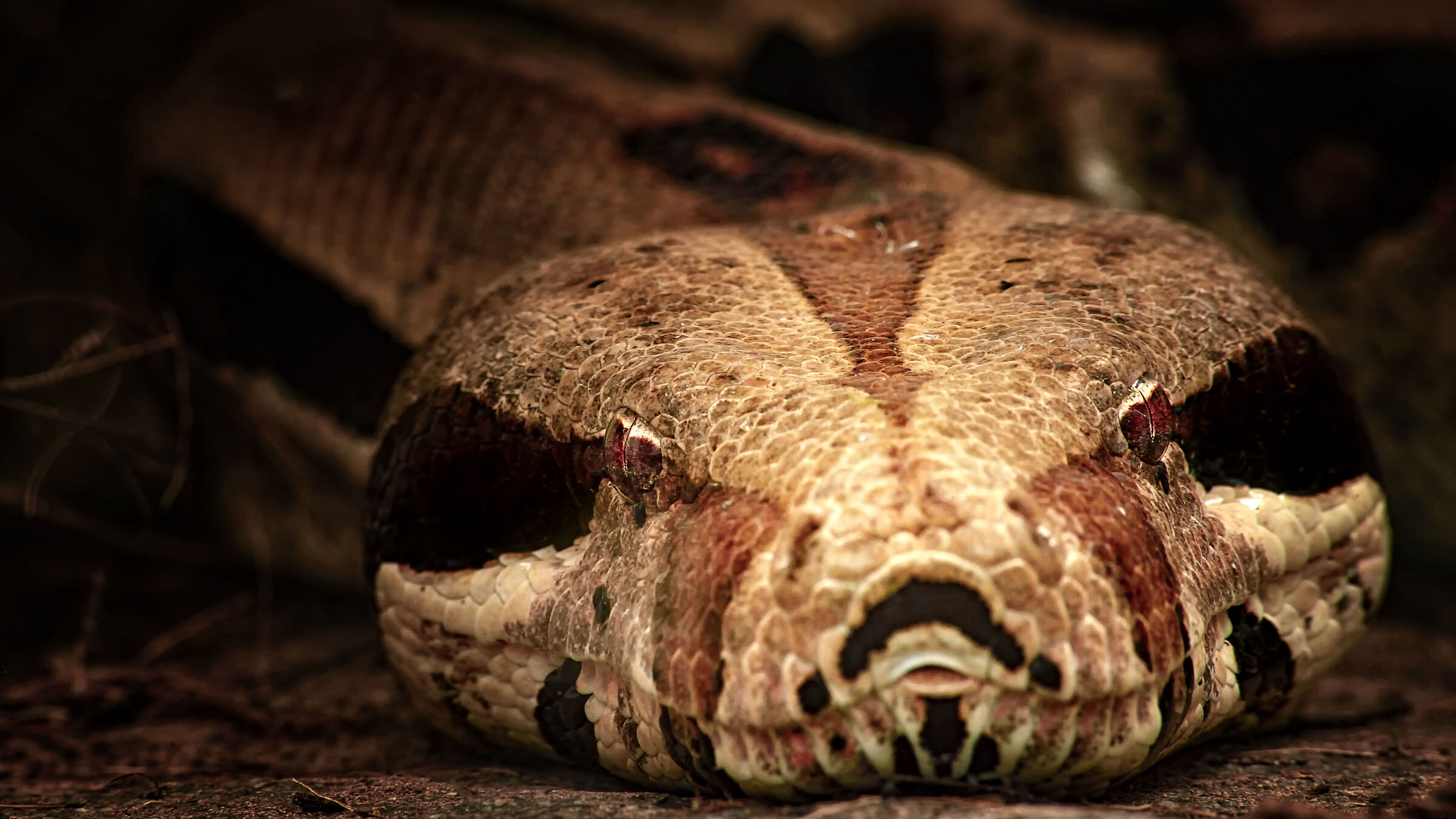 Come don't be afraid....