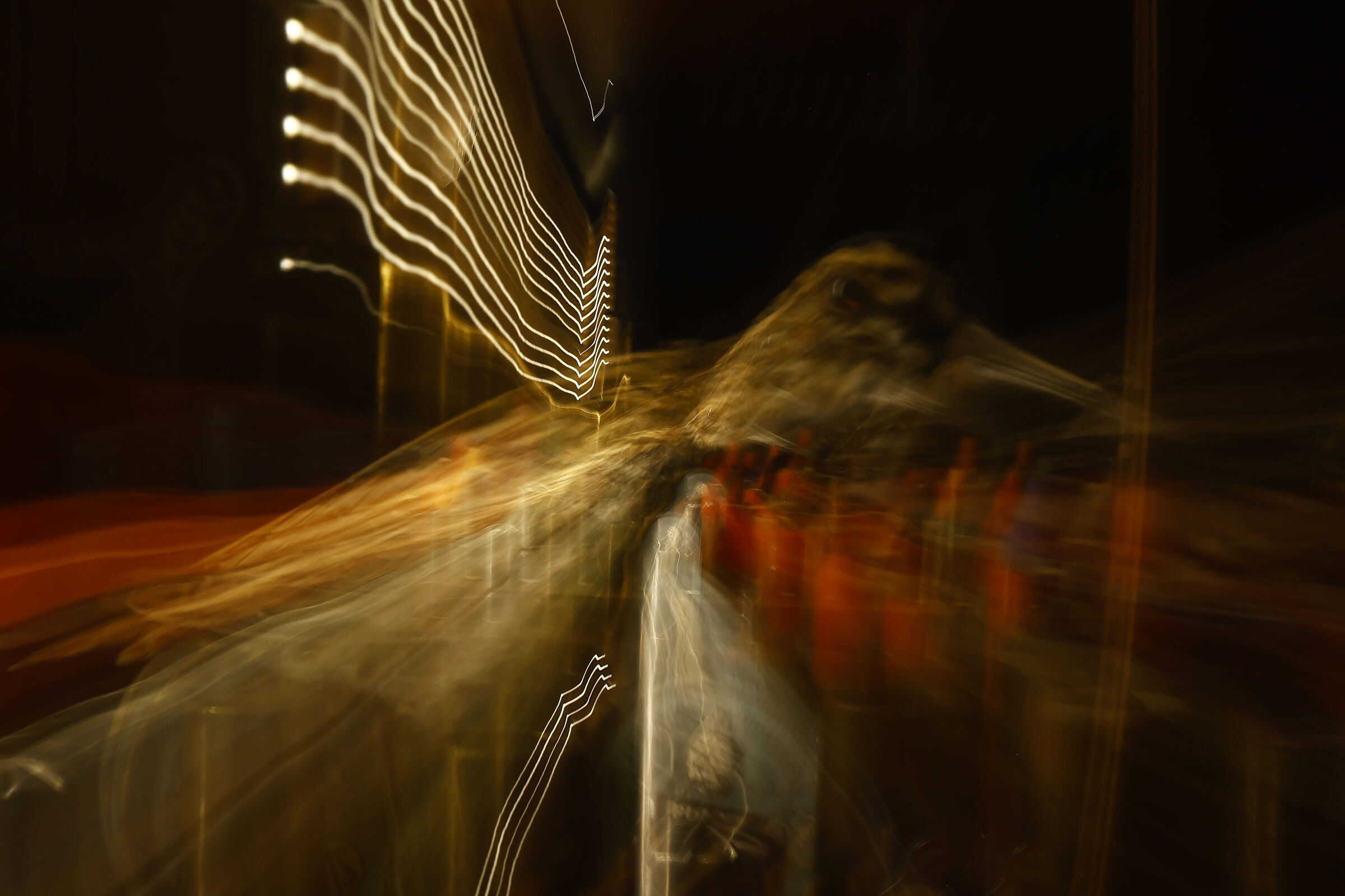 Untitled Photo