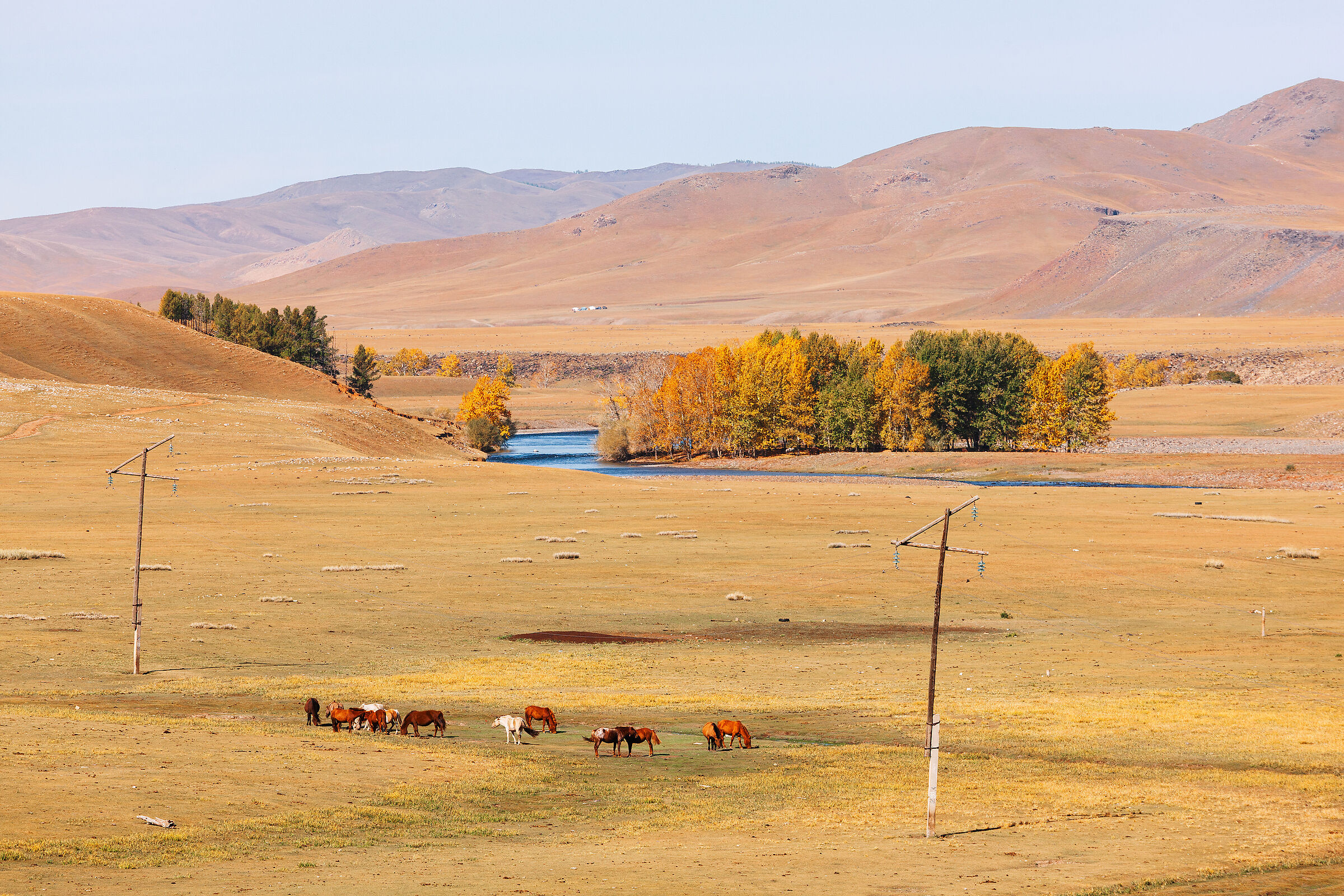 Mongolia_001