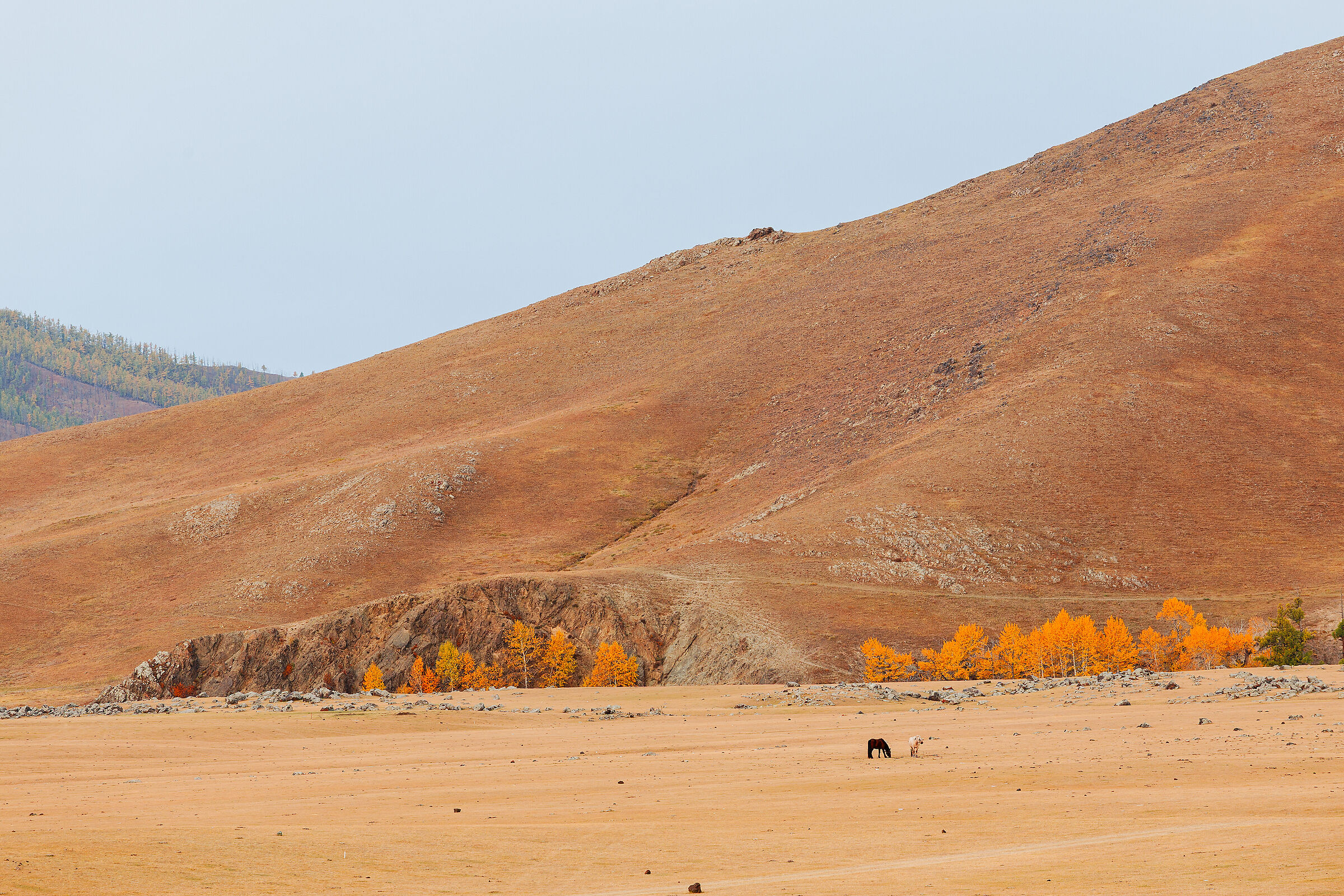 Mongolia_002