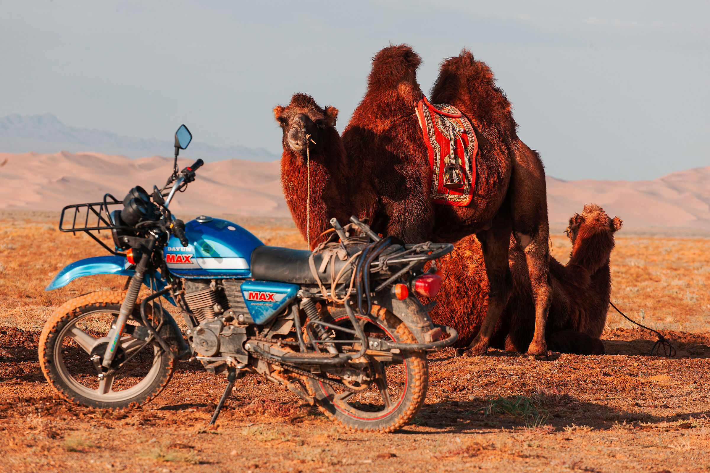 Mongolia_013