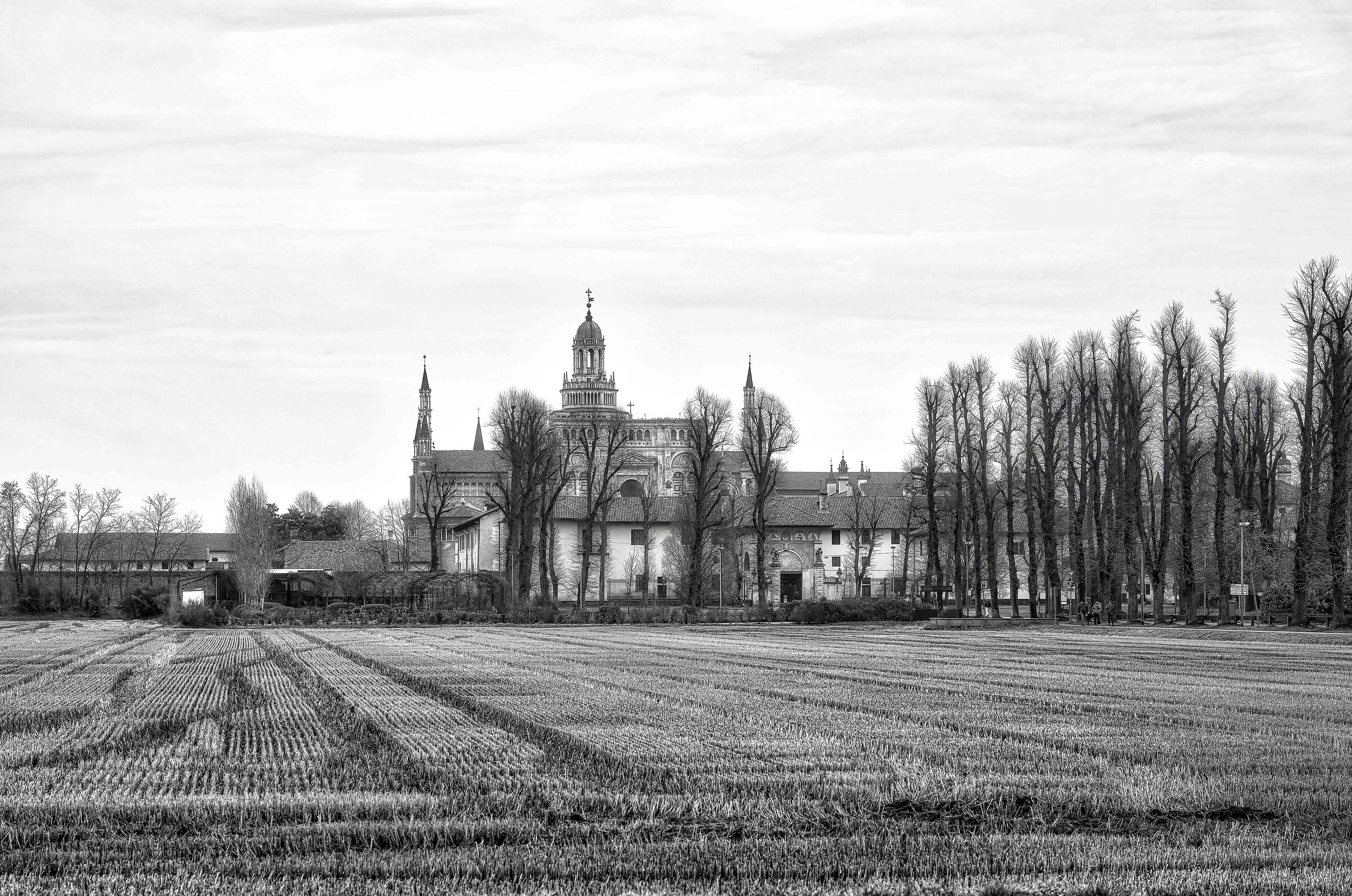 Certosa Pavia
