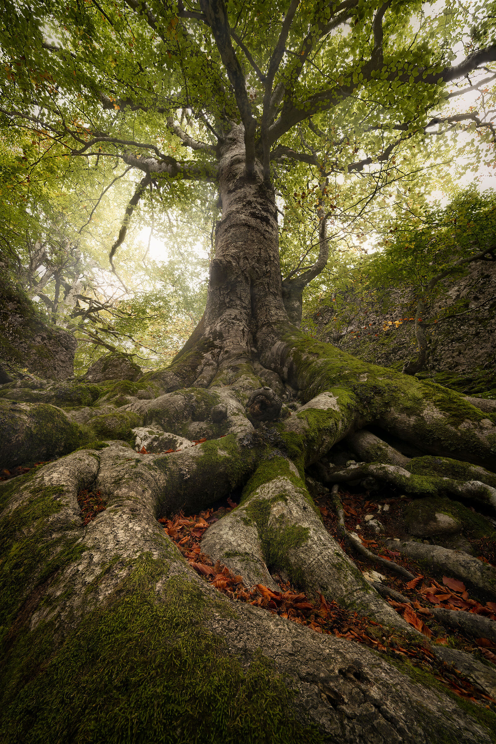 Axis Mundi ? Prati di Tivo, Abruzzo.