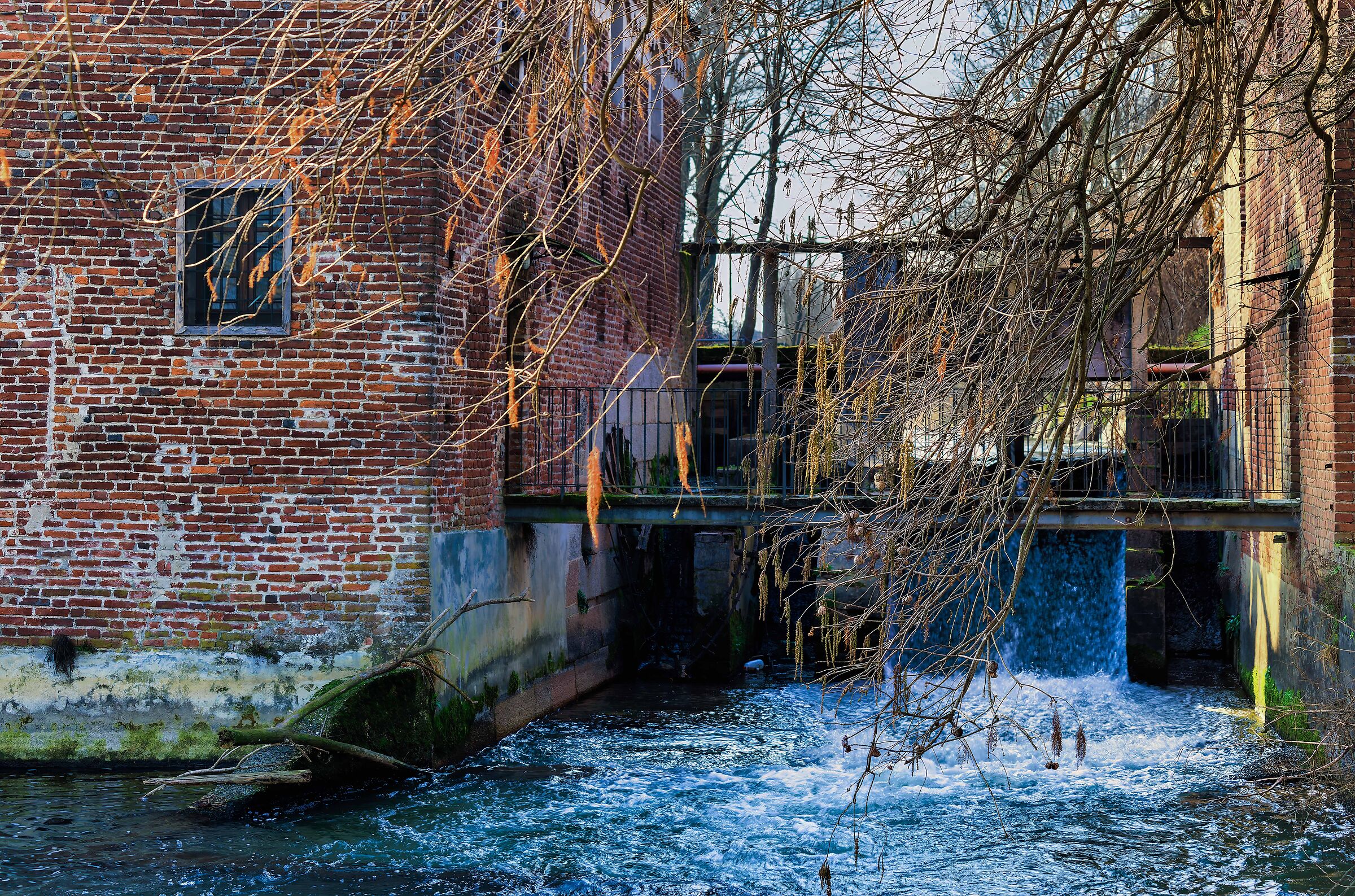 The high blackberry mill