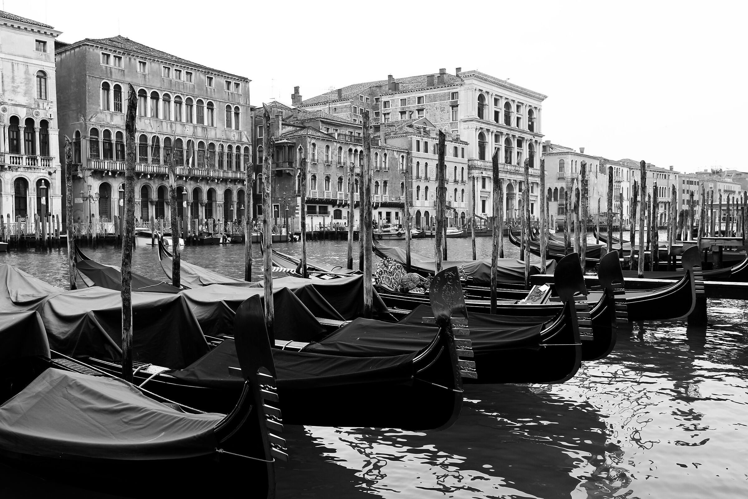 Gondole a Venezia