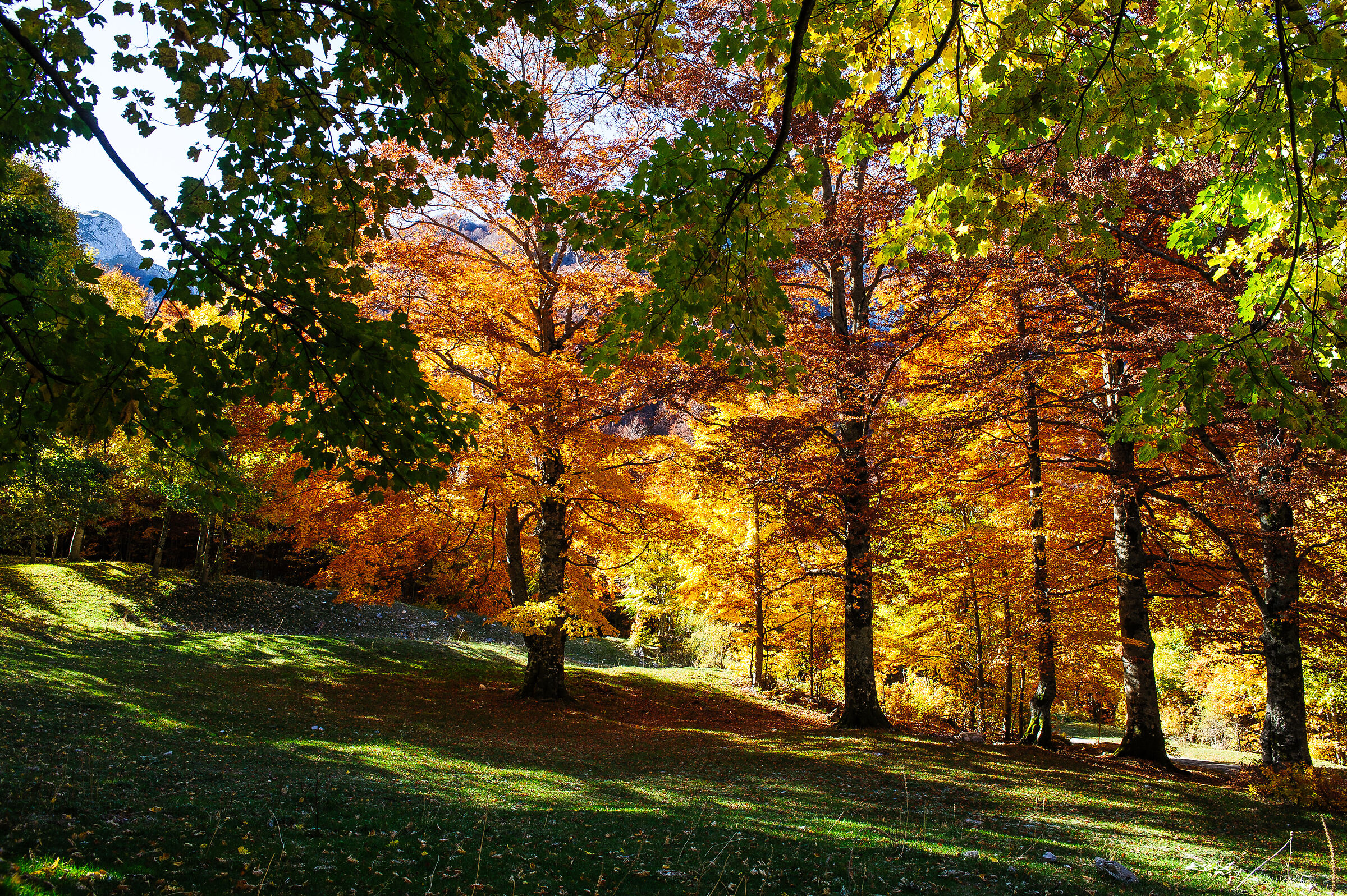 Autunno '25 su al Terminillo, la montagna di Roma.