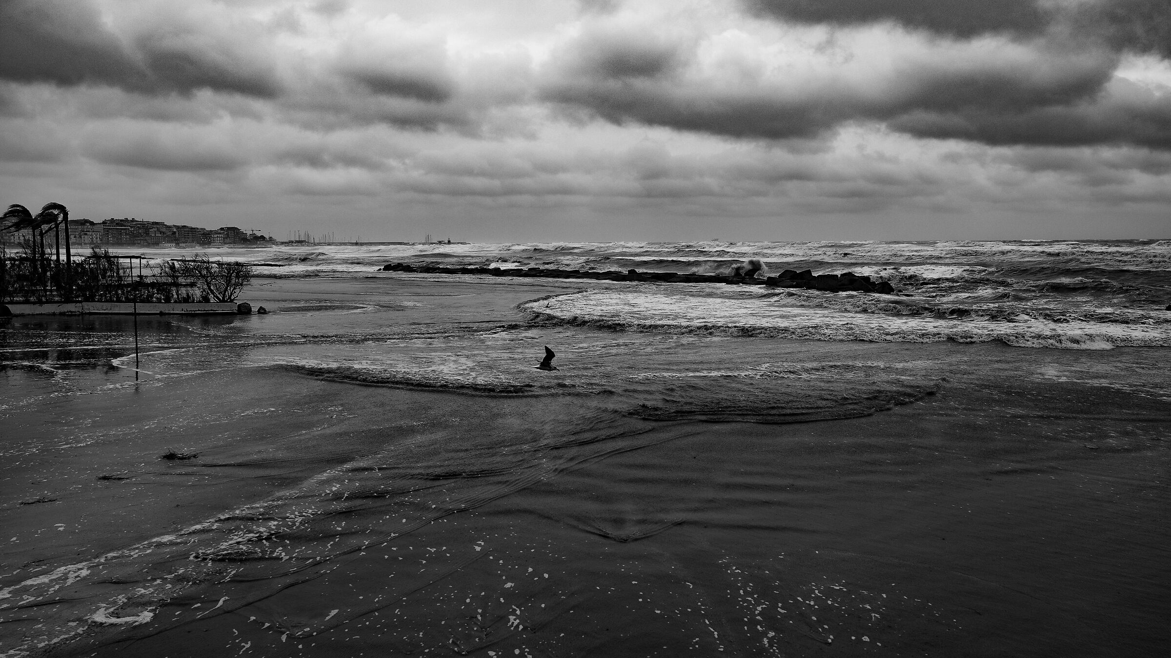 Sciroccata of 26.01.26