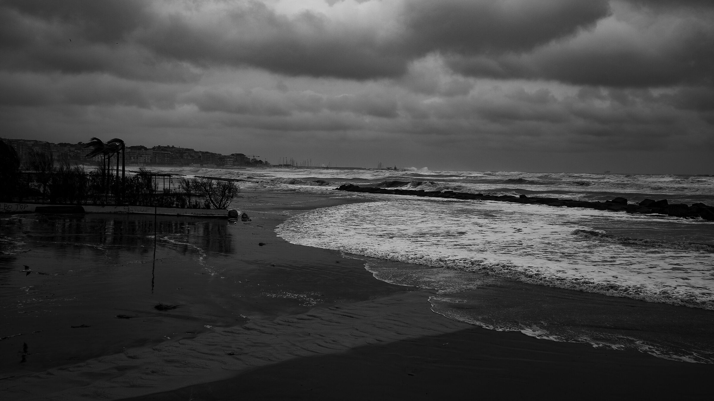 Sciroccata of 21.01.26