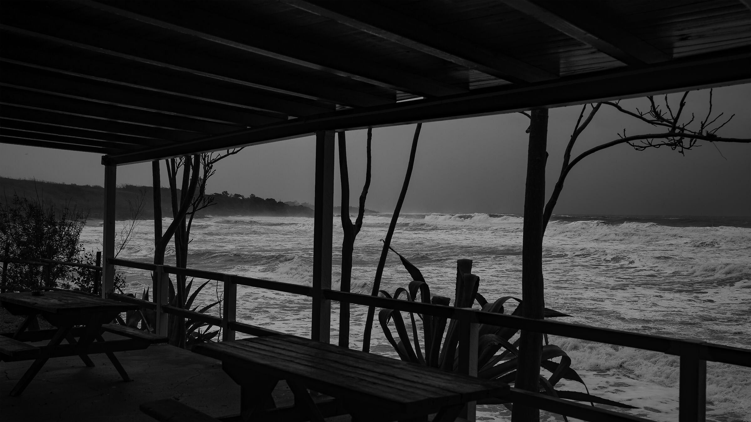 Sciroccata of 21.01.26