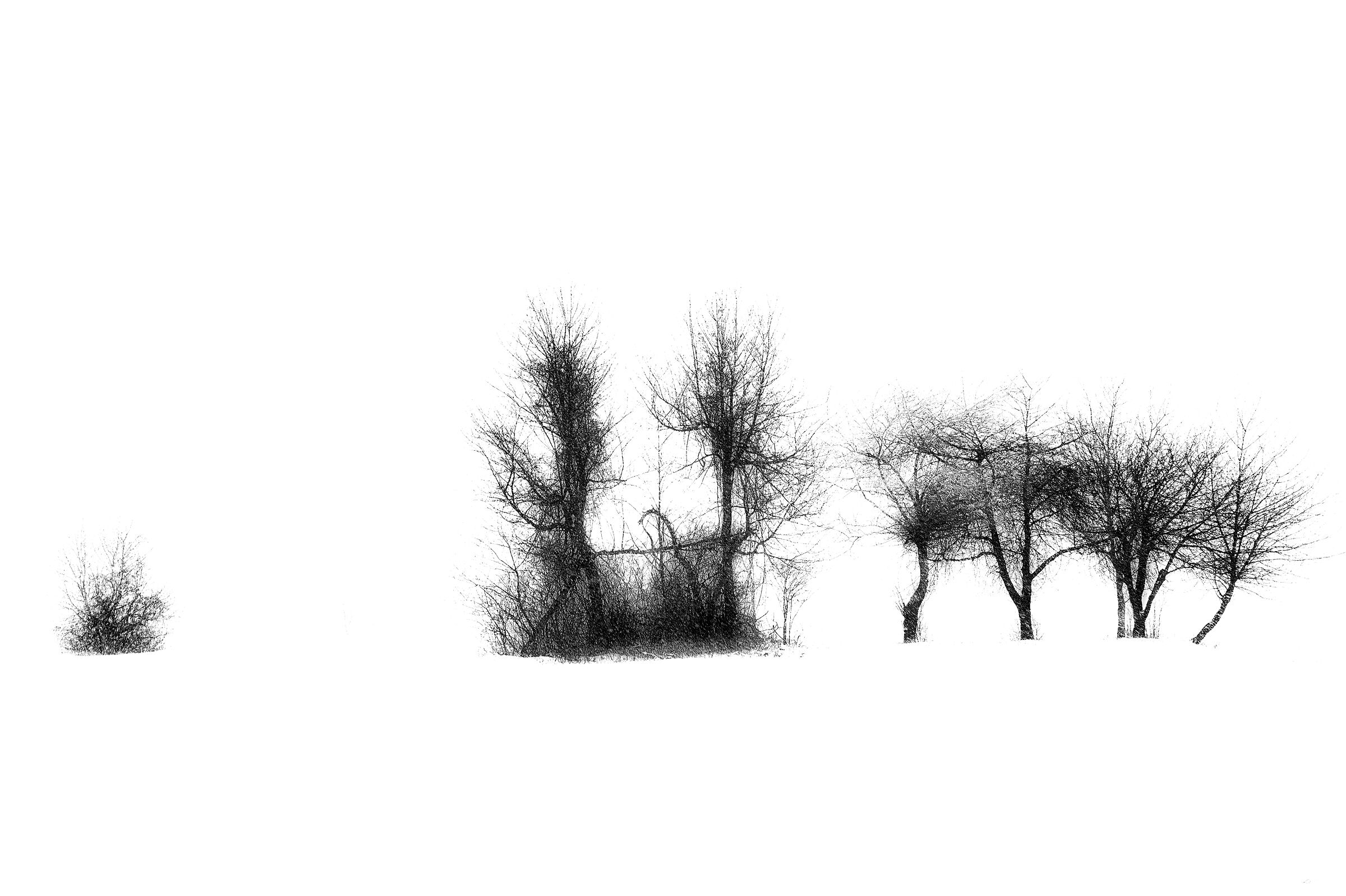 The Karst of Rorschach